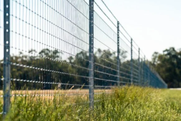 Grant applications now open!

Landholders can now apply for the Queensland Feral Pest Initiative Exclusion Fencing Grants to support wild dog management. Grants of up to $250,000 are available (matched funding required) for eligible areas including G