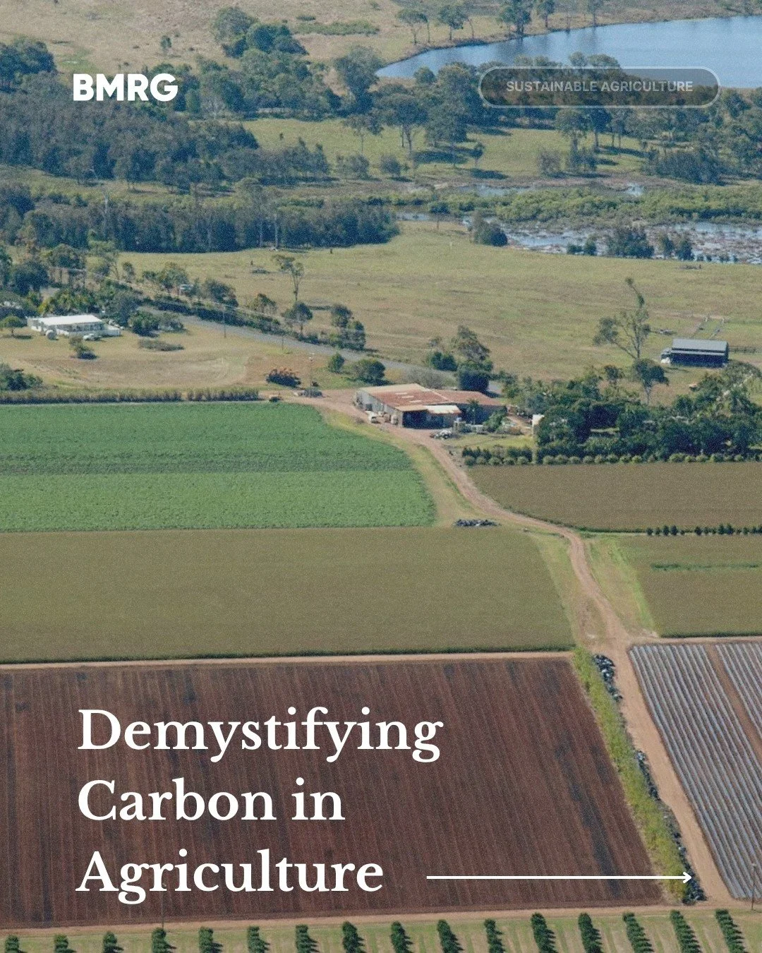 Free Carbon Workshops for Producers &ndash; Esk &amp; Kingaroy

BMRG is proud to support AgForce on two no-spin, hands-on workshops quipping producers with the skills and tools to confidently navigate carbon in their business.

Learn how to cut throu