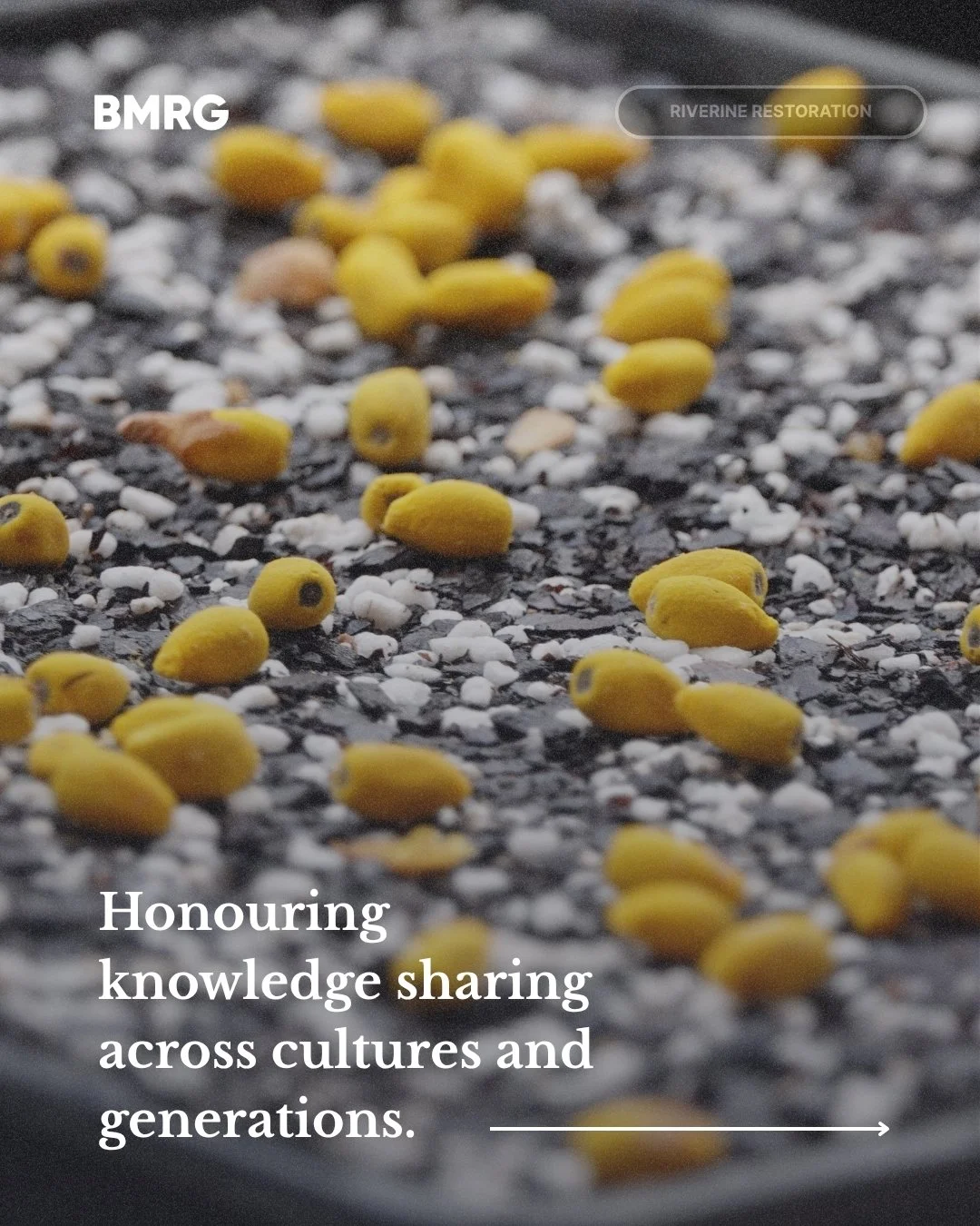 On 16 September, we gathered at Noosa Landcare for a workshop that honoured knowledge sharing across cultures and generations.

Together with Kabi Kabi, Butchulla, Jinibara and Taribelang Traditional Owners, young rangers, and coordinators, we celebr