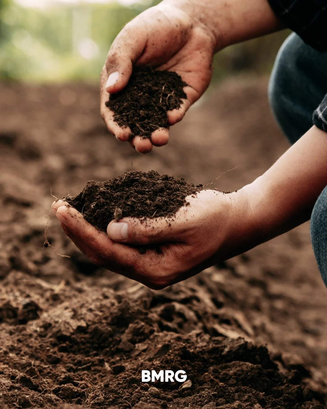 BMRG&rsquo;s recent Soil Conservation Workshop brought together local experts, land managers and government partners to strengthen regional capacity in erosion control and sustainable land use.

With hands-on training, emerging tech, and real-world a