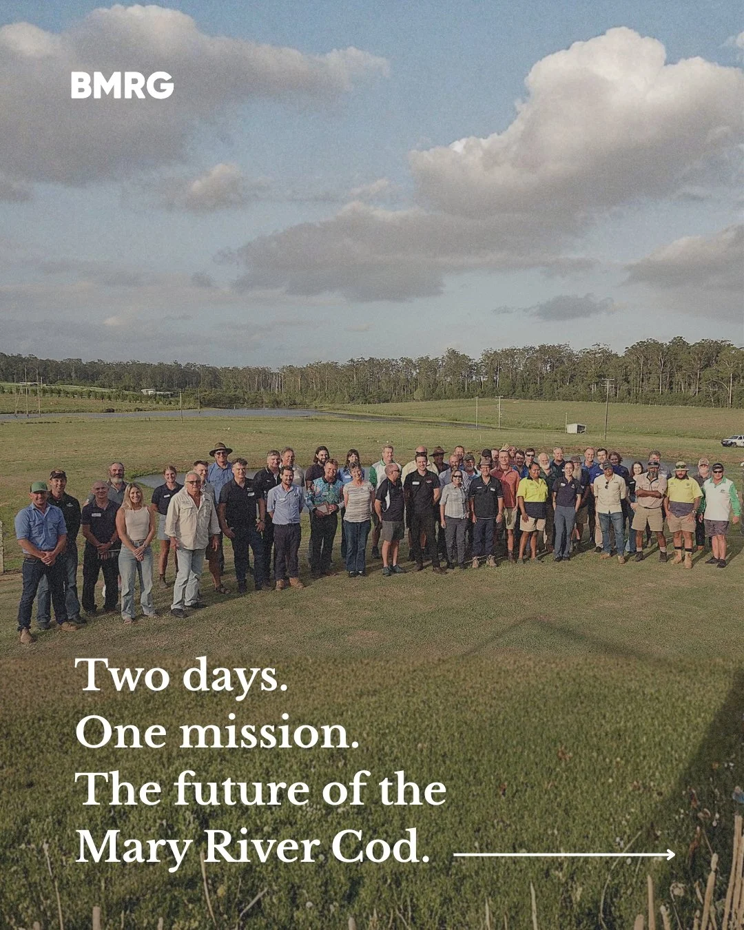 Two days. One mission. The future of the Mary River Cod.

Last month, BMRG and MRCCC brought together leading researchers, Traditional Owners, community groups and government partners at Hinternoosa Hatchery for the Mary River Codference&mdash;advanc