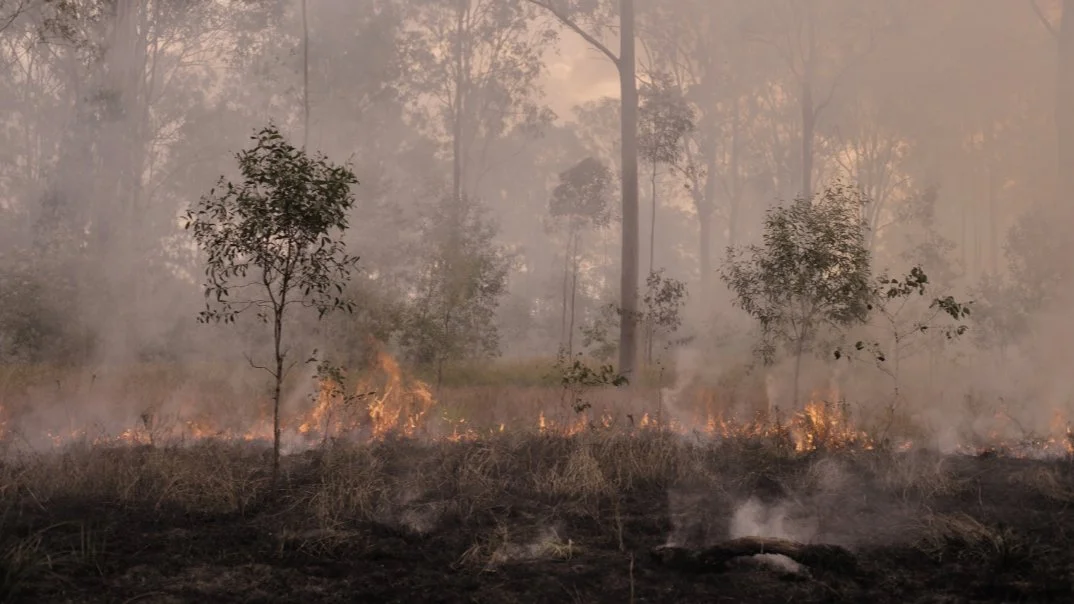 Burnett Mary Cool Burn Squad: Protecting Agricultural Lands Through Proactive Fire Management on Freehold Land 
 
We're grateful to the Queensland Government (@LandQueensland) for backing the Burnett Mary Cool Burn Squad&mdash;a project that brings t