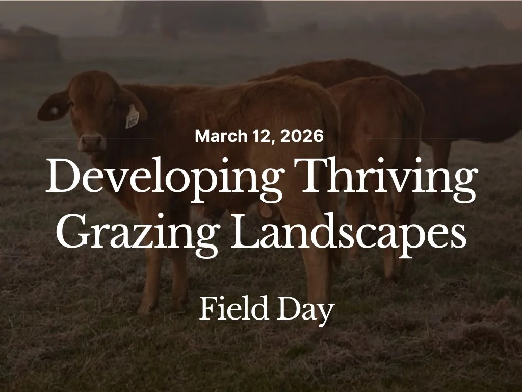 Developing Thriving Grazing Landscapes