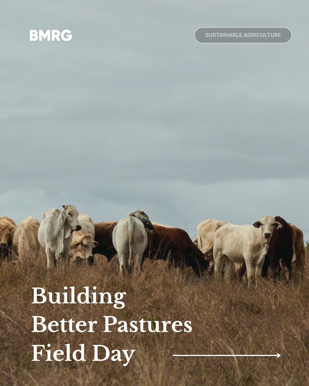 Join us for the Building Better Pastures Field Day at &ldquo;Holroyd&rdquo; in Booubyjan this June.

Explore practical, on-farm strategies to improve pasture resilience, soil health, and grazing outcomes with industry experts Damien O&rsquo;Sullivan 