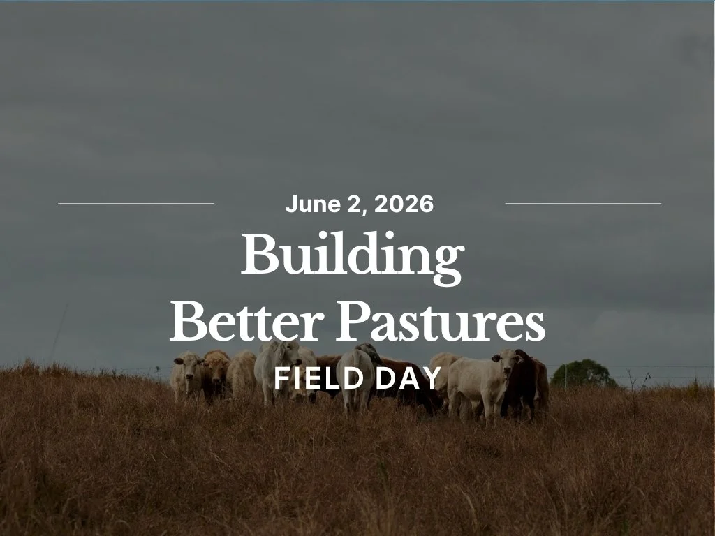Building Better Pastures Field Day