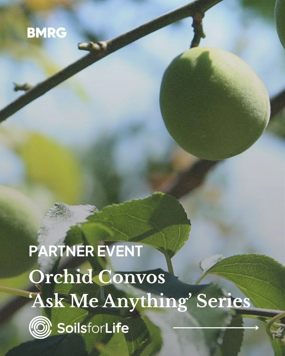 Fruit and nut growers are invited to join Orchard Convos &ndash; &lsquo;Ask me anything&rsquo;, a free online series connecting growers with leading agronomists, agroecologists and consultants.

Running from 26 May to 4 June 2026, these practical Zoo