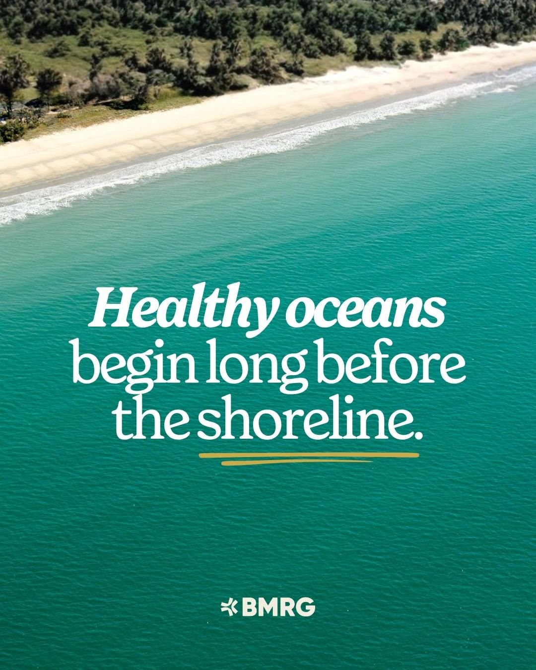 Every action has a ripple effect.

This World Ocean Day, we&rsquo;re celebrating the shared responsibility we have in protecting the natural environments that sustain us.

Across the Burnett Mary region, meaningful change happens through collaboratio