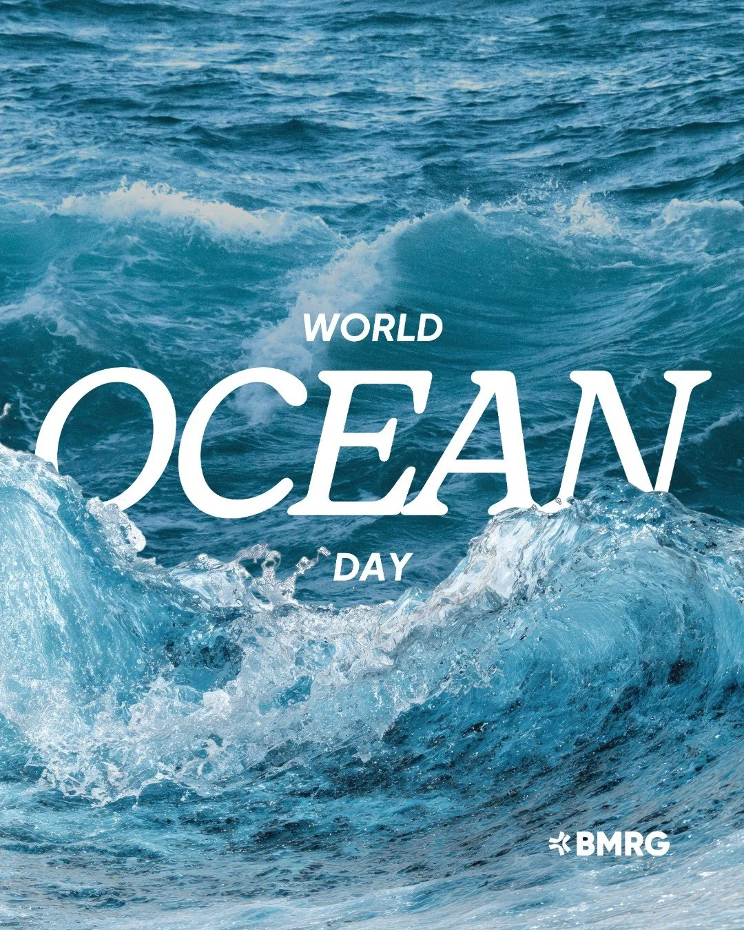 This World Ocean Day, we&rsquo;re celebrating the shared responsibility we have in protecting the natural environments that sustain us.

Across the Burnett Mary region, meaningful change happens through collaboration, with communities, landholders, T