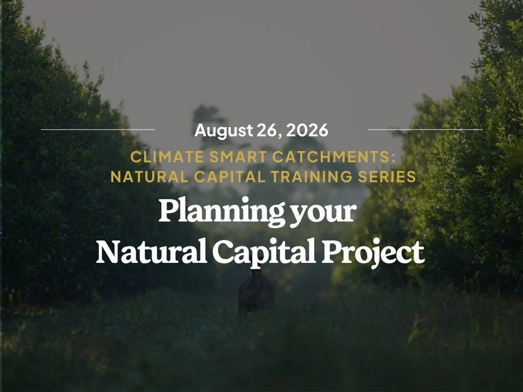 Planning your Natural Capital Project