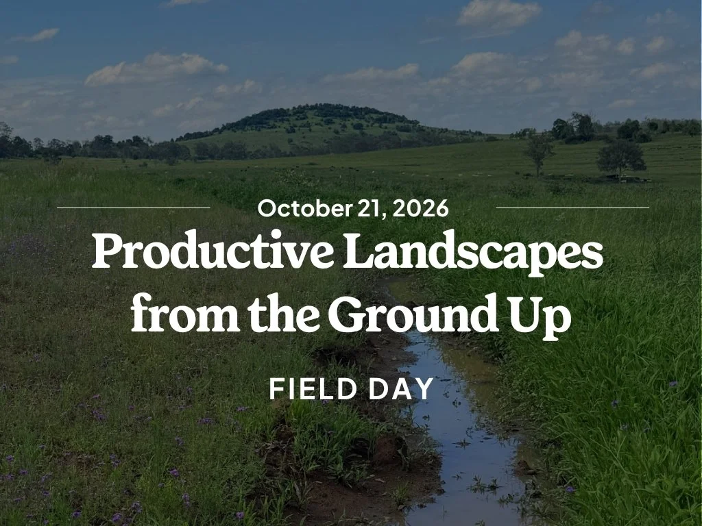Productive Landscapes from the Ground Up