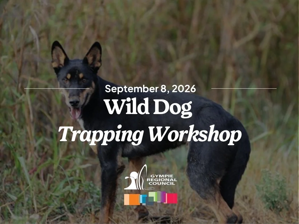 Wild Dog Trapping Workshop - Goomeri