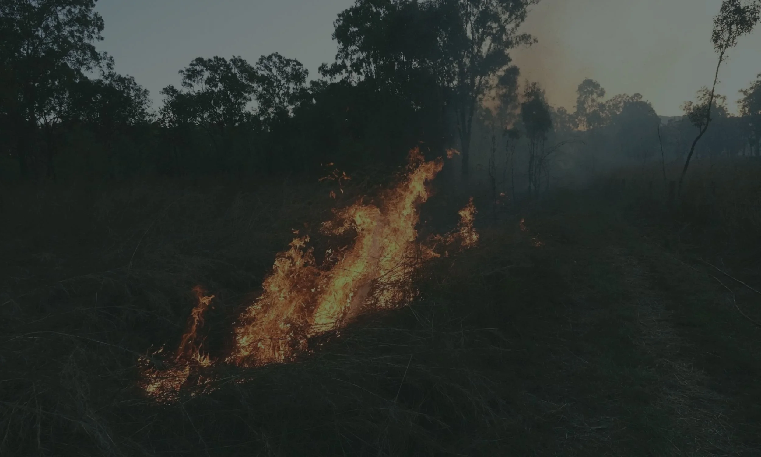 Black Summer Bushfires