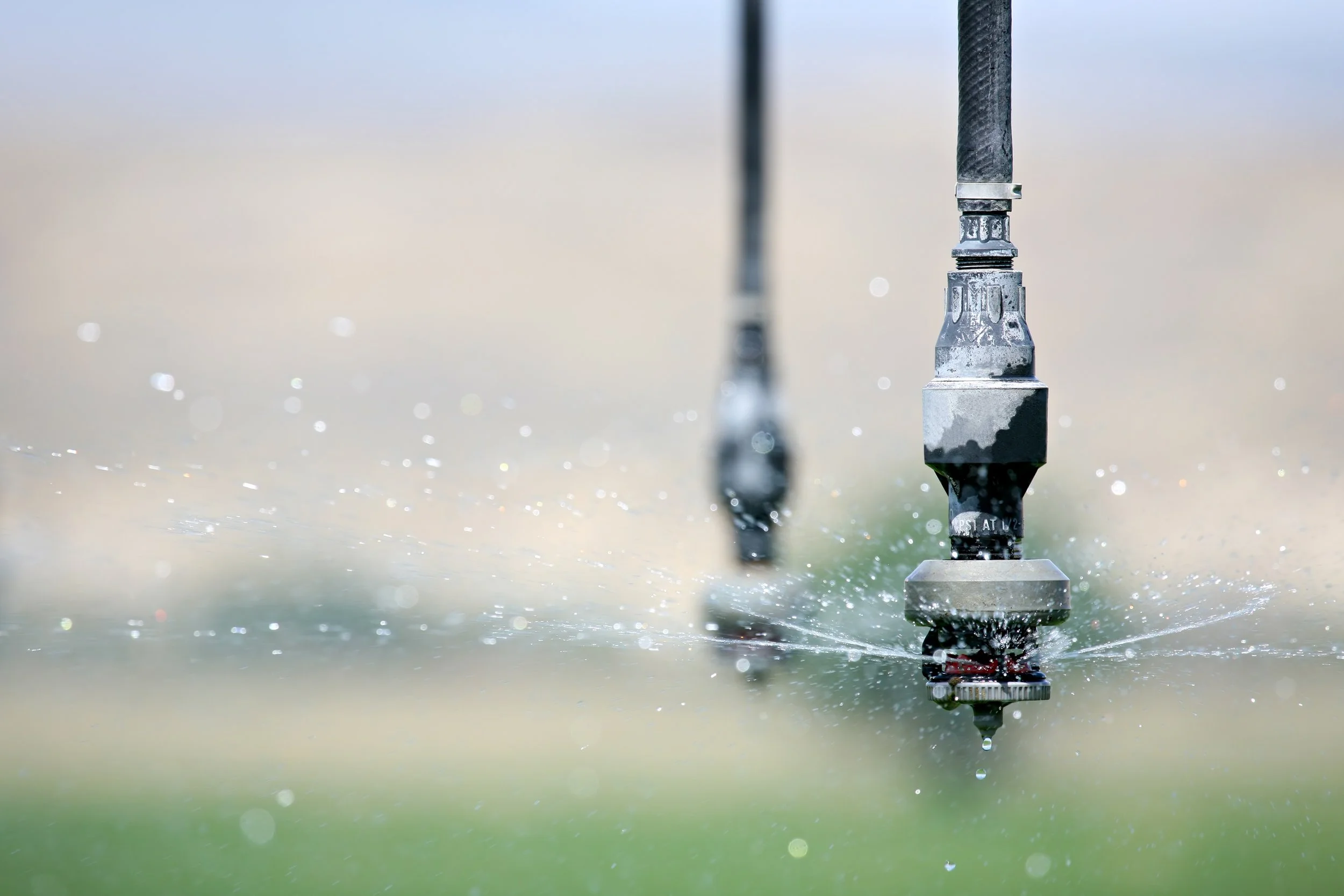 Sprinkler.jpg