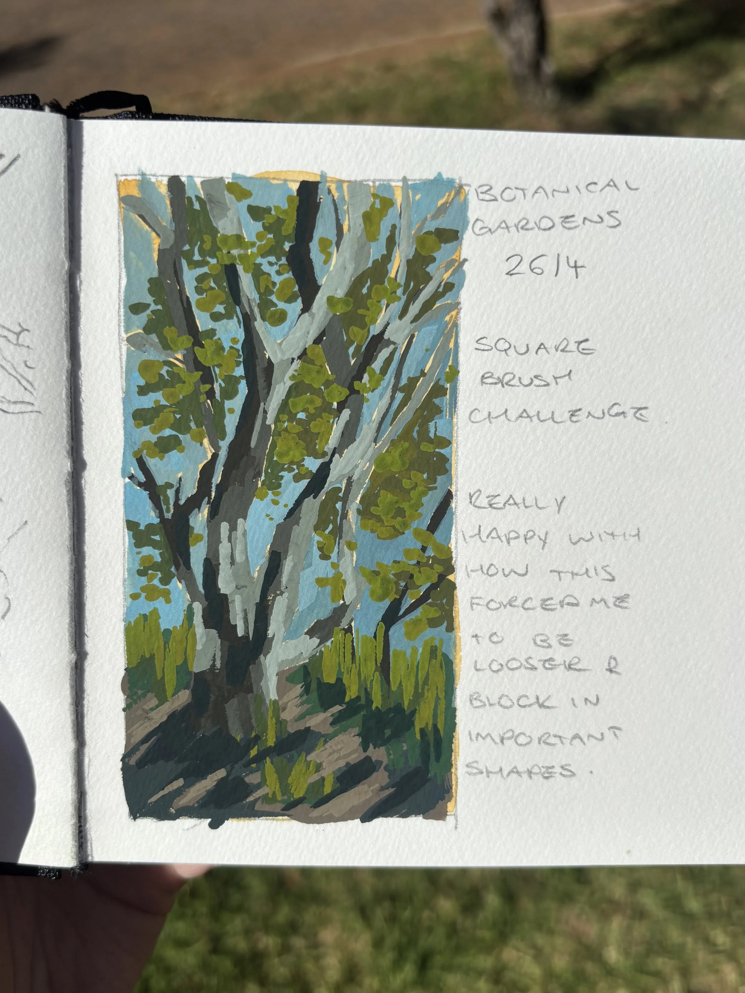 Gum Tree - Gouache