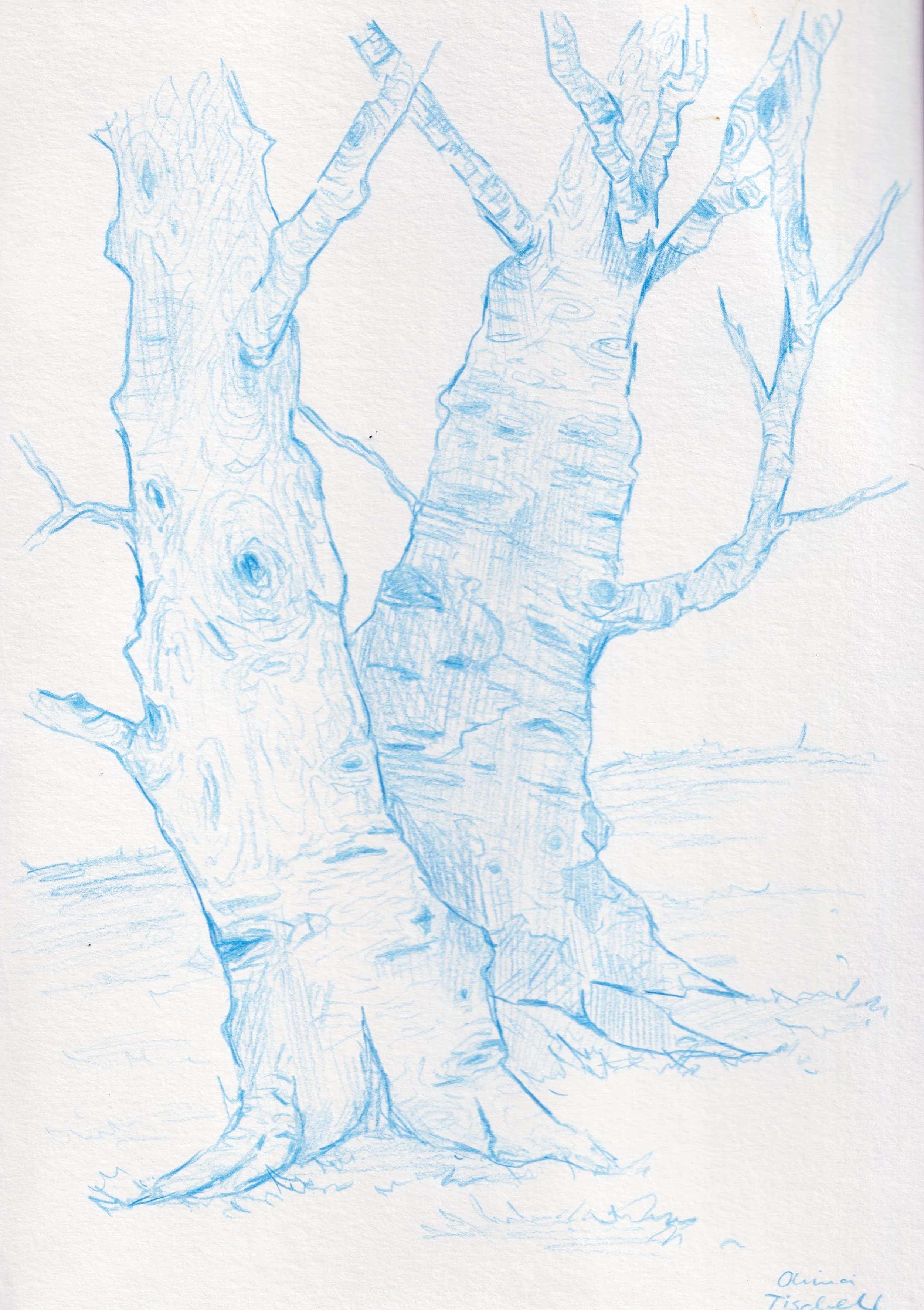 Untitled- Pencil