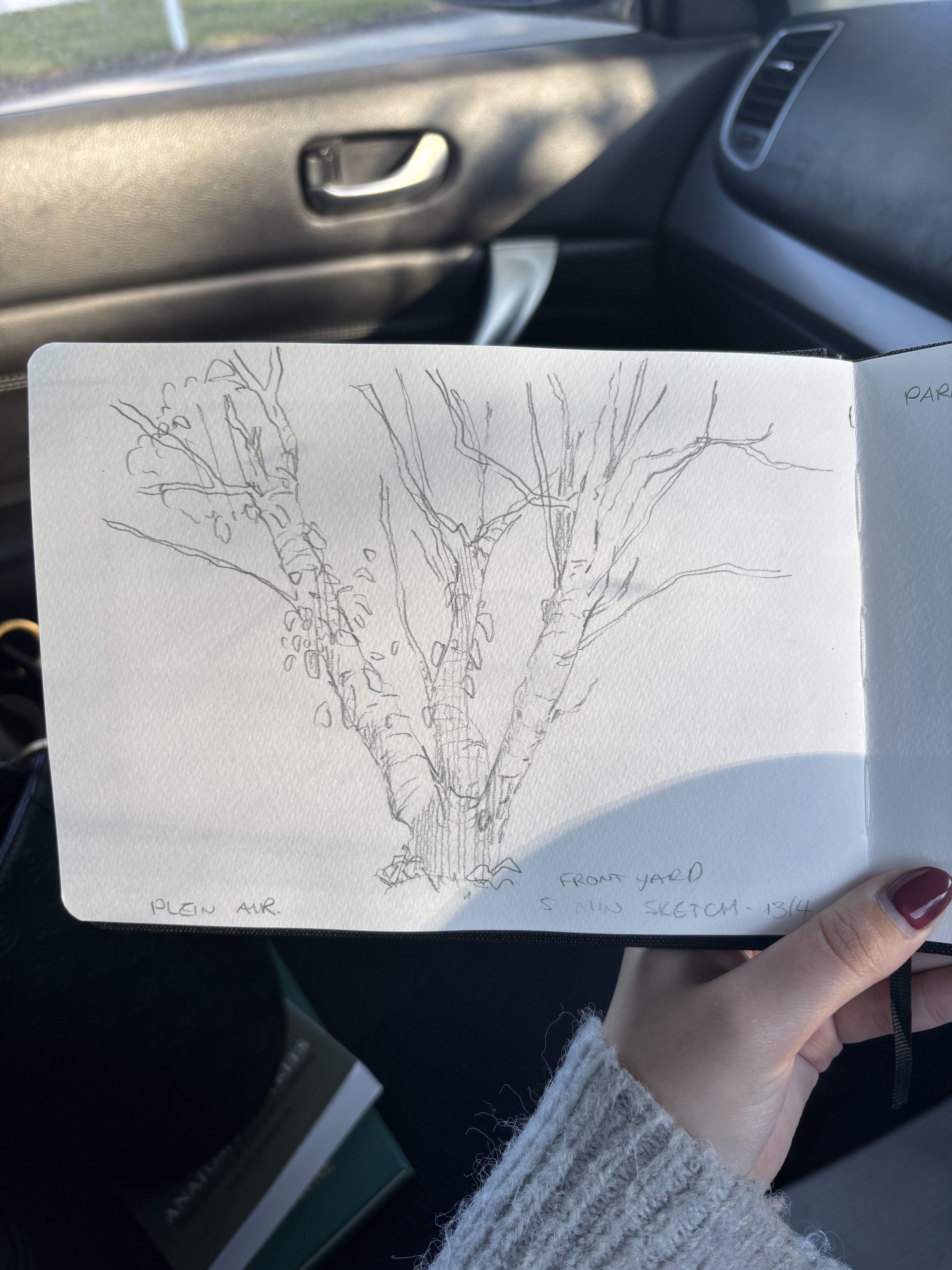 Tree Sketch - Pencil