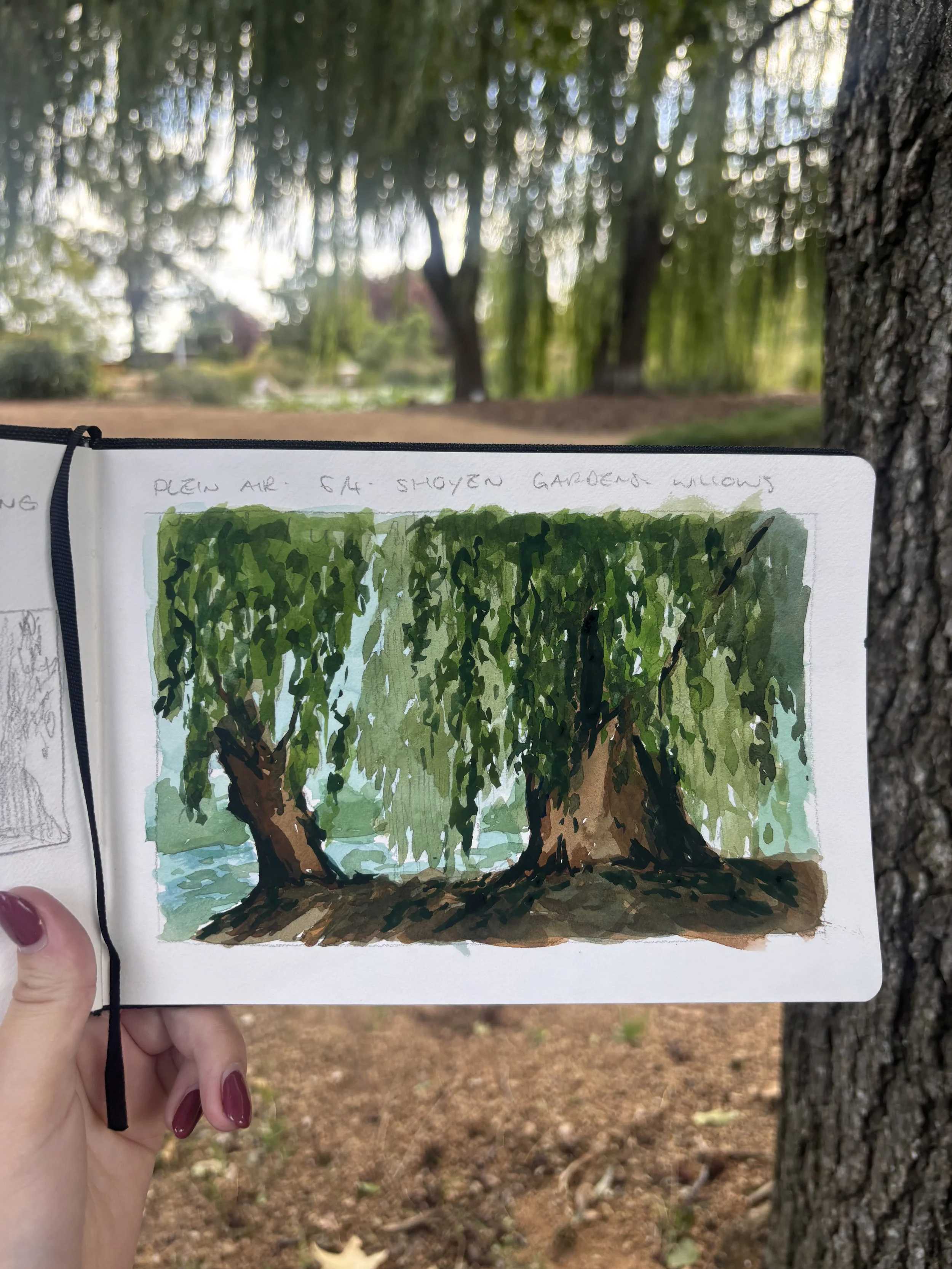 Willow Trees - Gouache