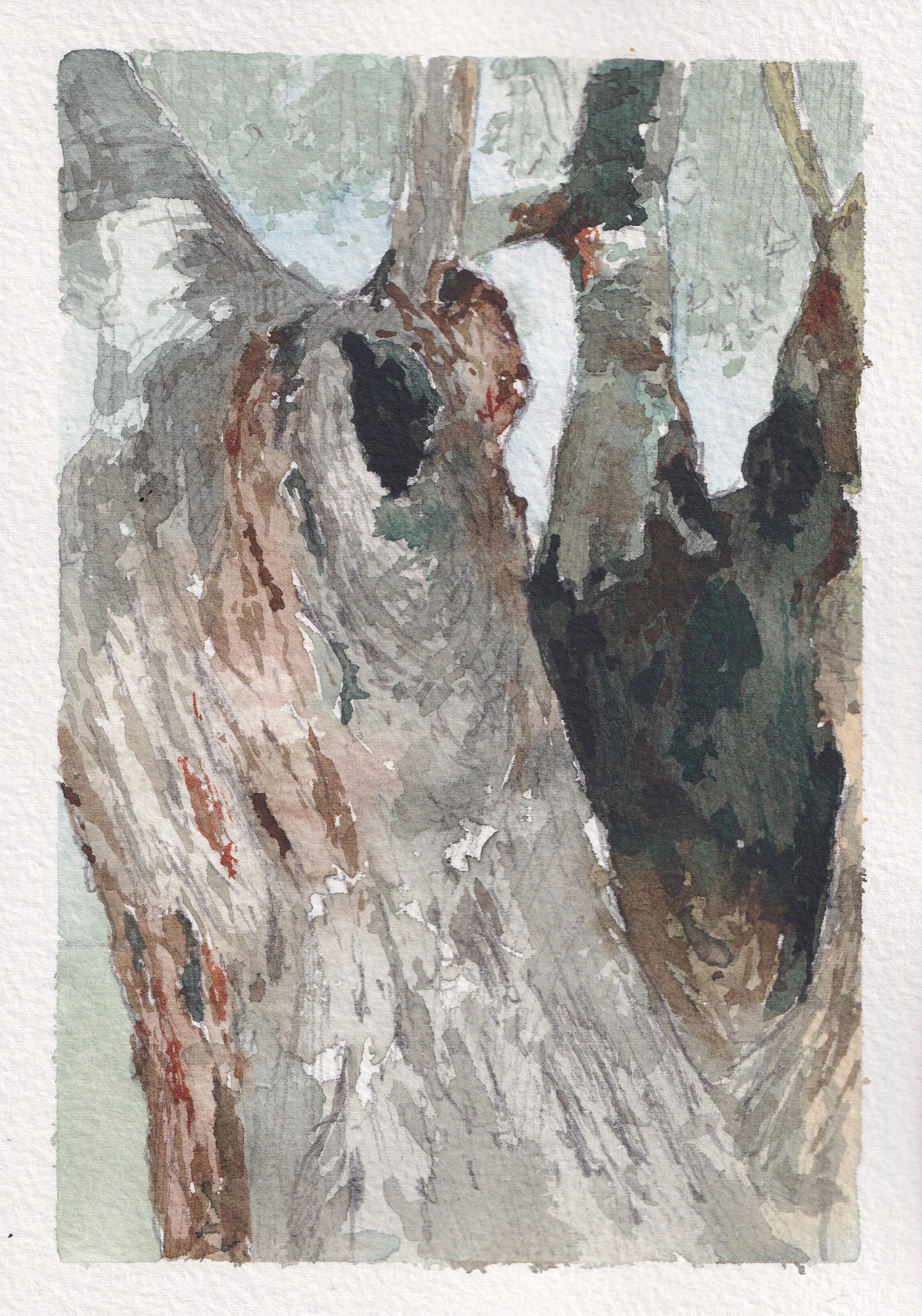 Untitled- Watercolour