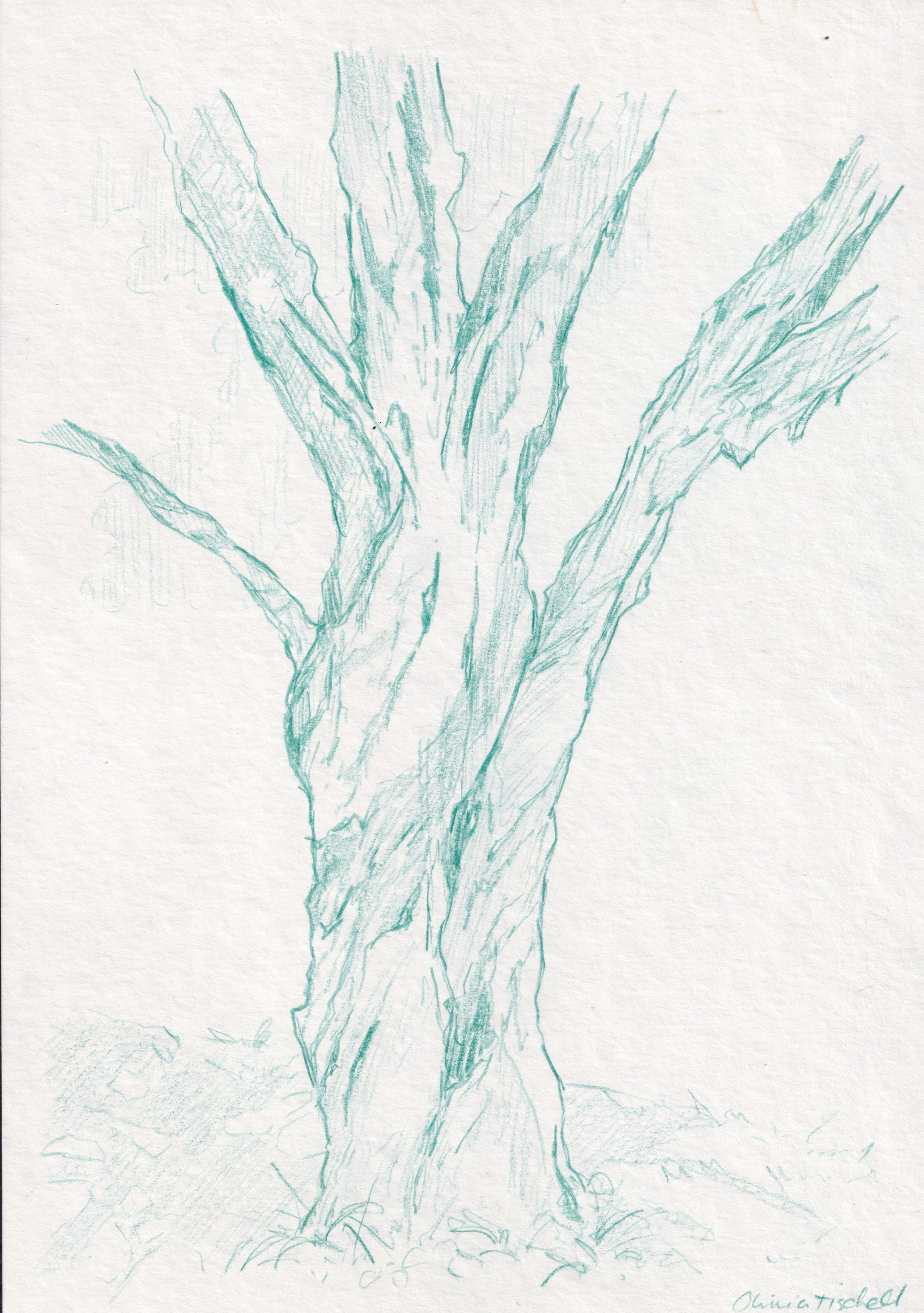 Untitled - Pencil