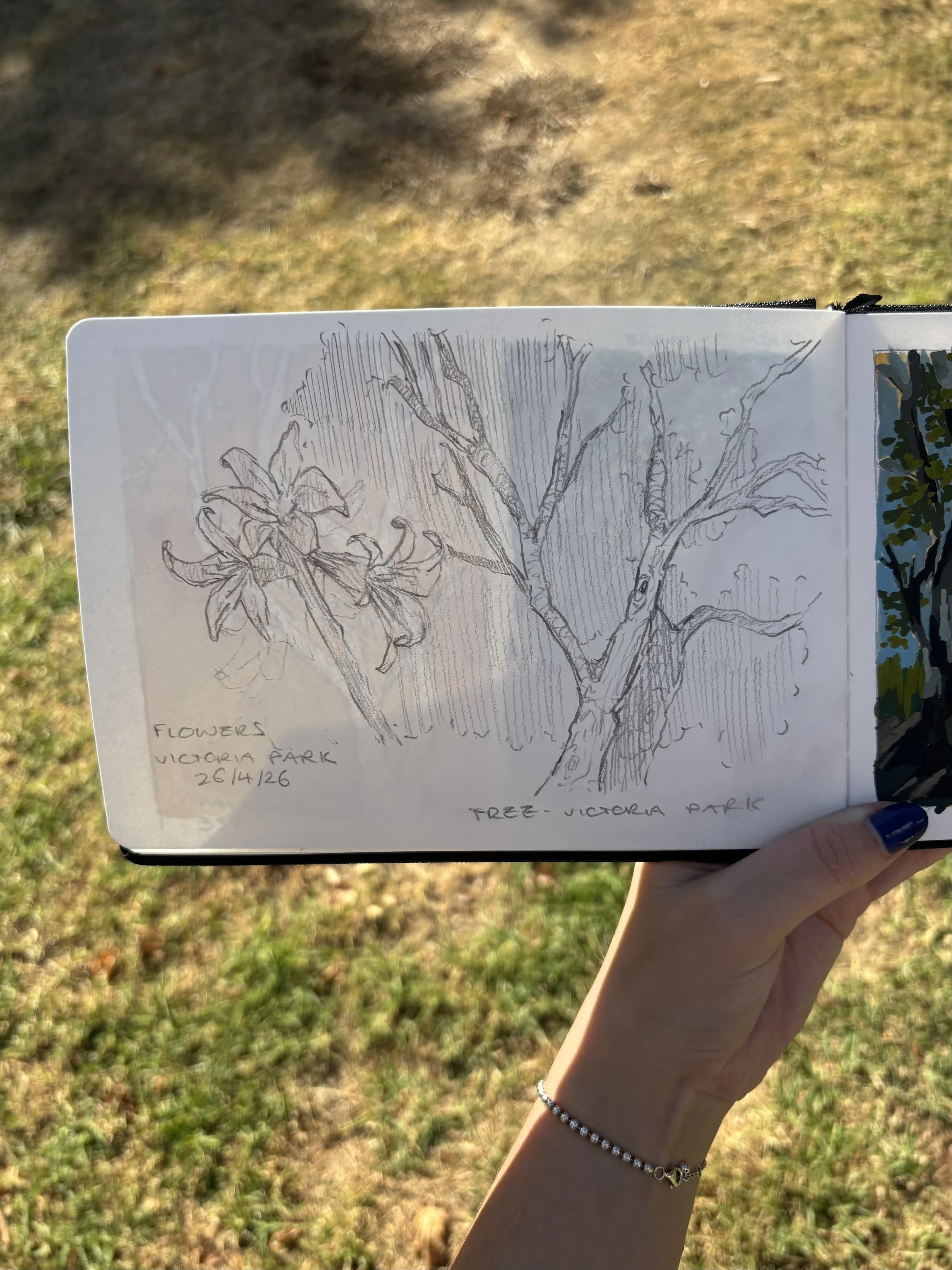 Tree and Flower Sketches - Pencil