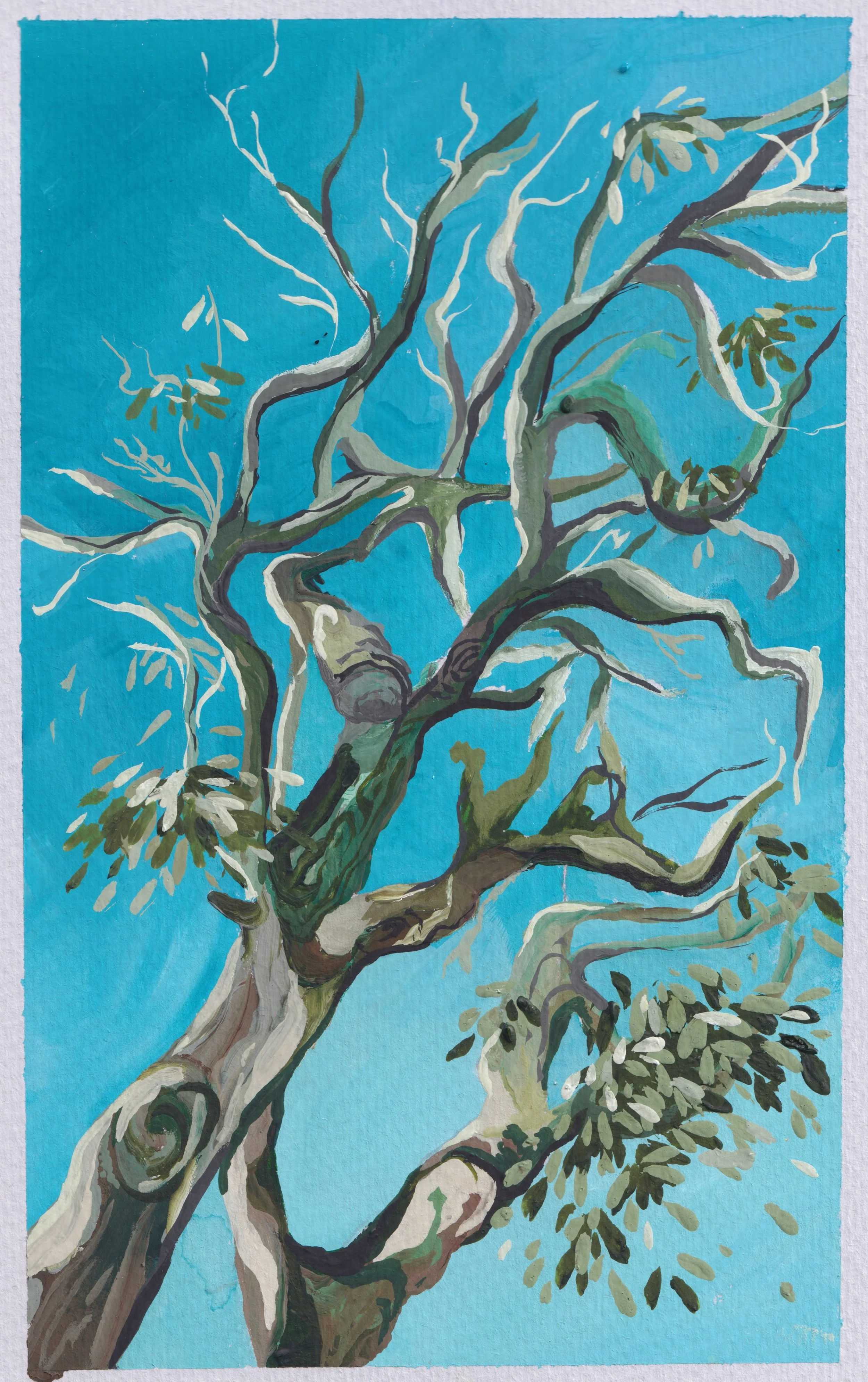 Gouache