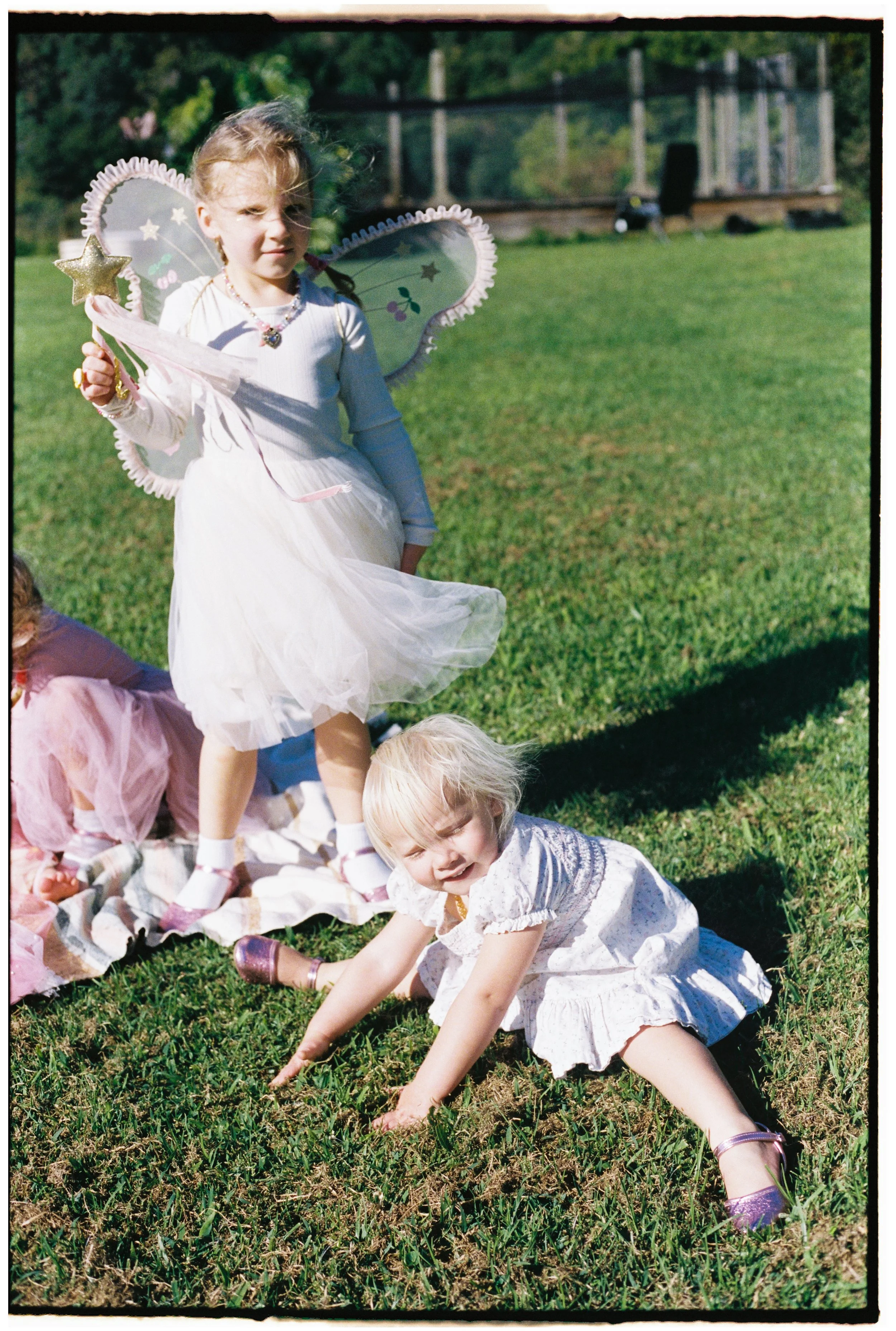 Portra40020000049-1.jpg