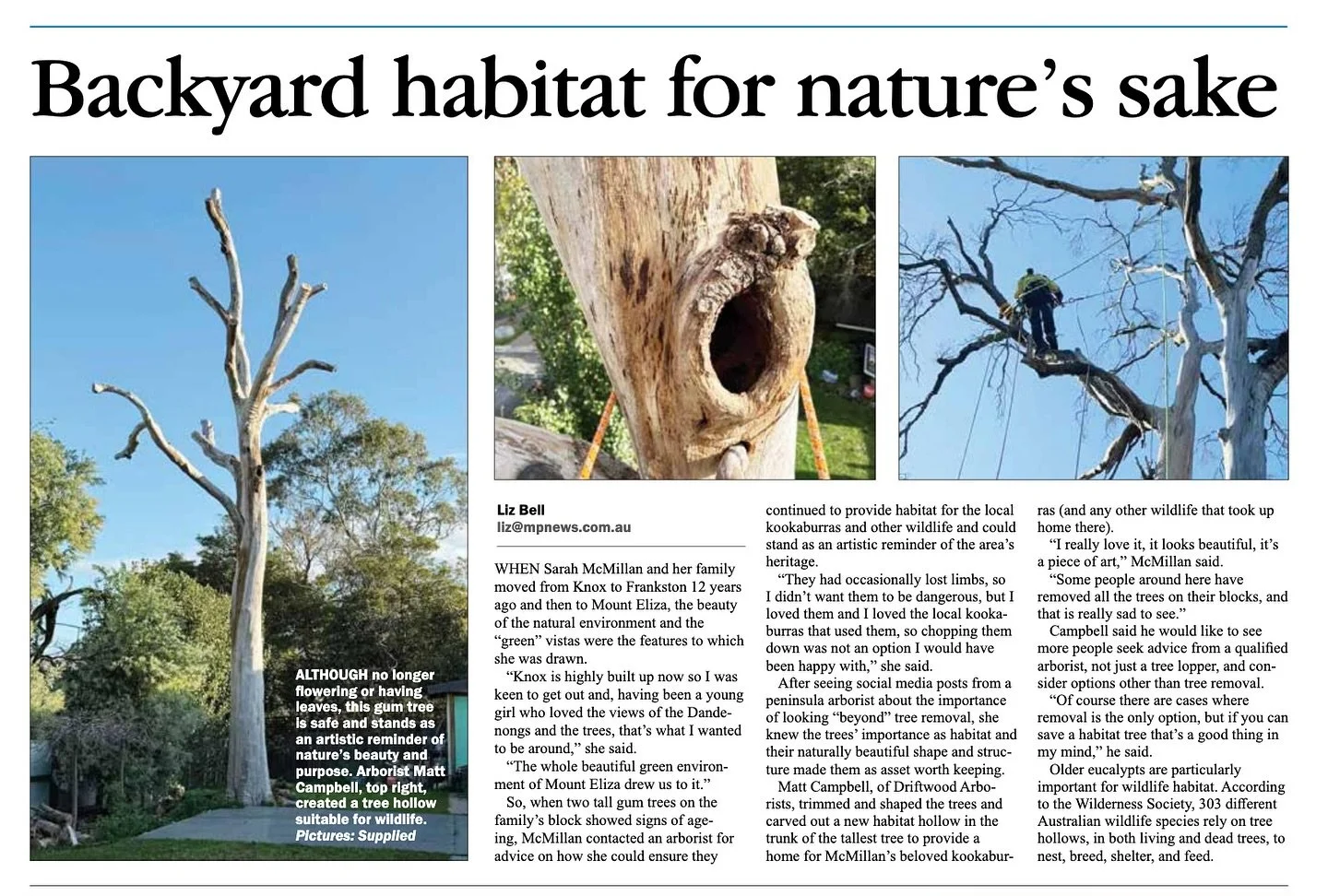 Very happy to have our habitat creation on display in the Mornington Peninsula News Group publication. It all starts with property owners understanding the options and importance of retaining trees for wildlife. 

We really enjoy aiming for a sculptu