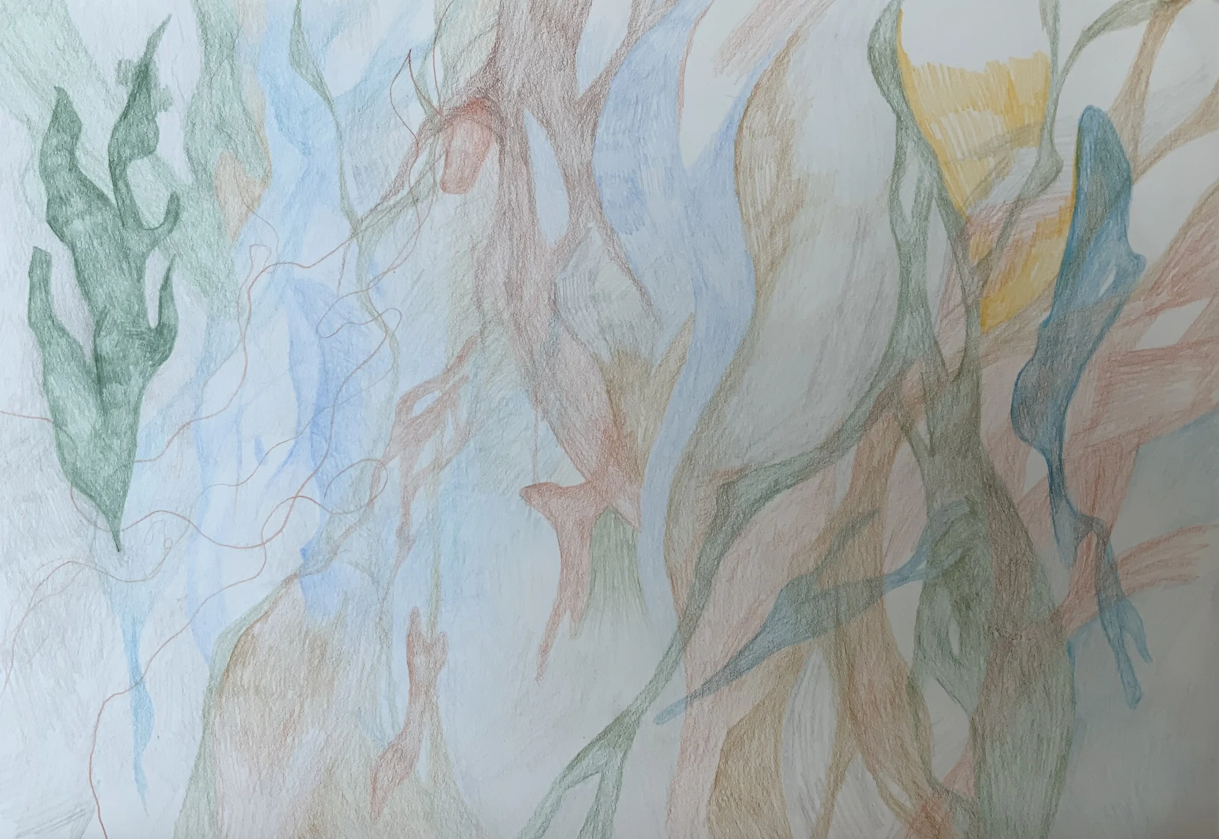 A tree planted by streams of water