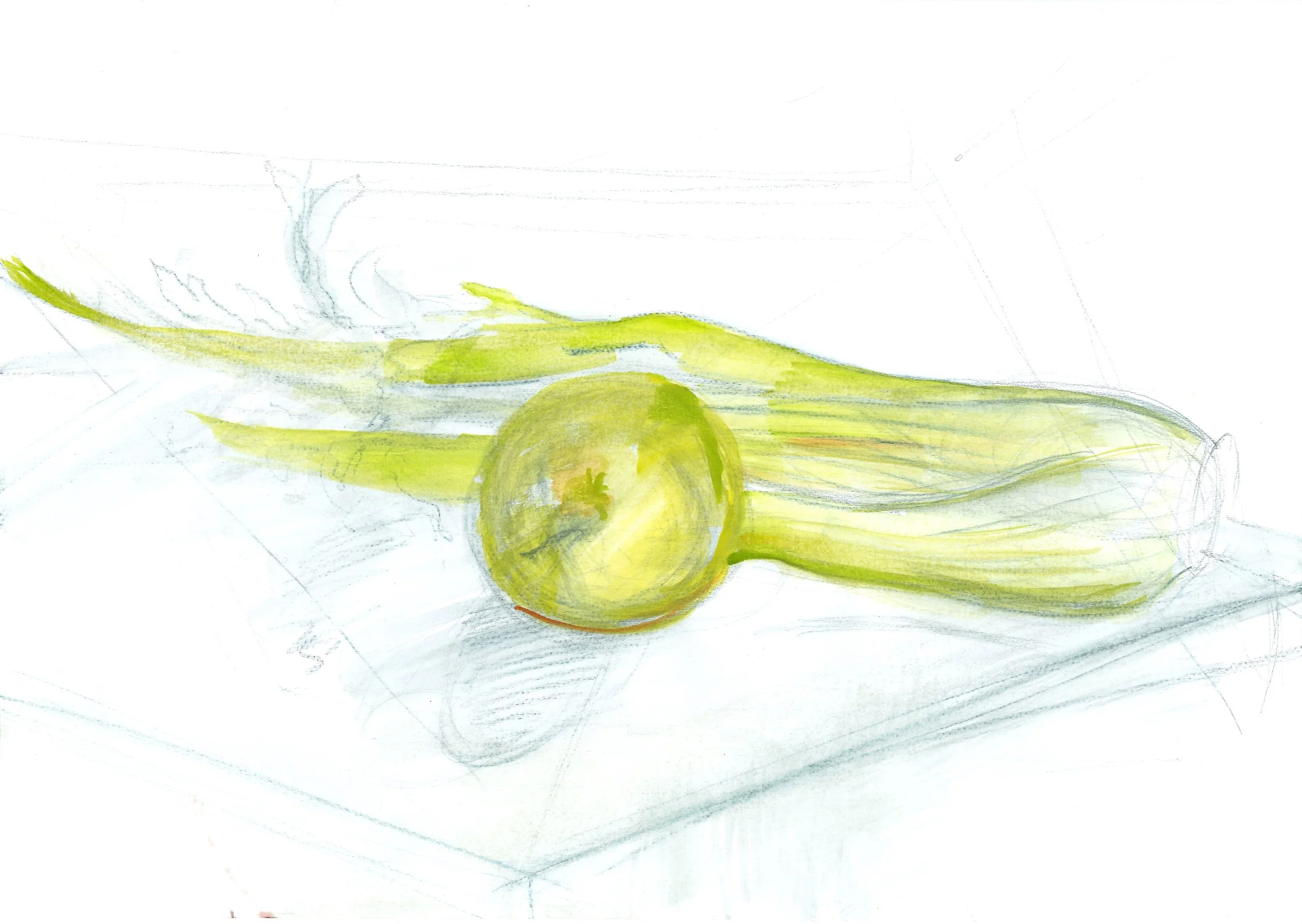 still_life_36.jpg