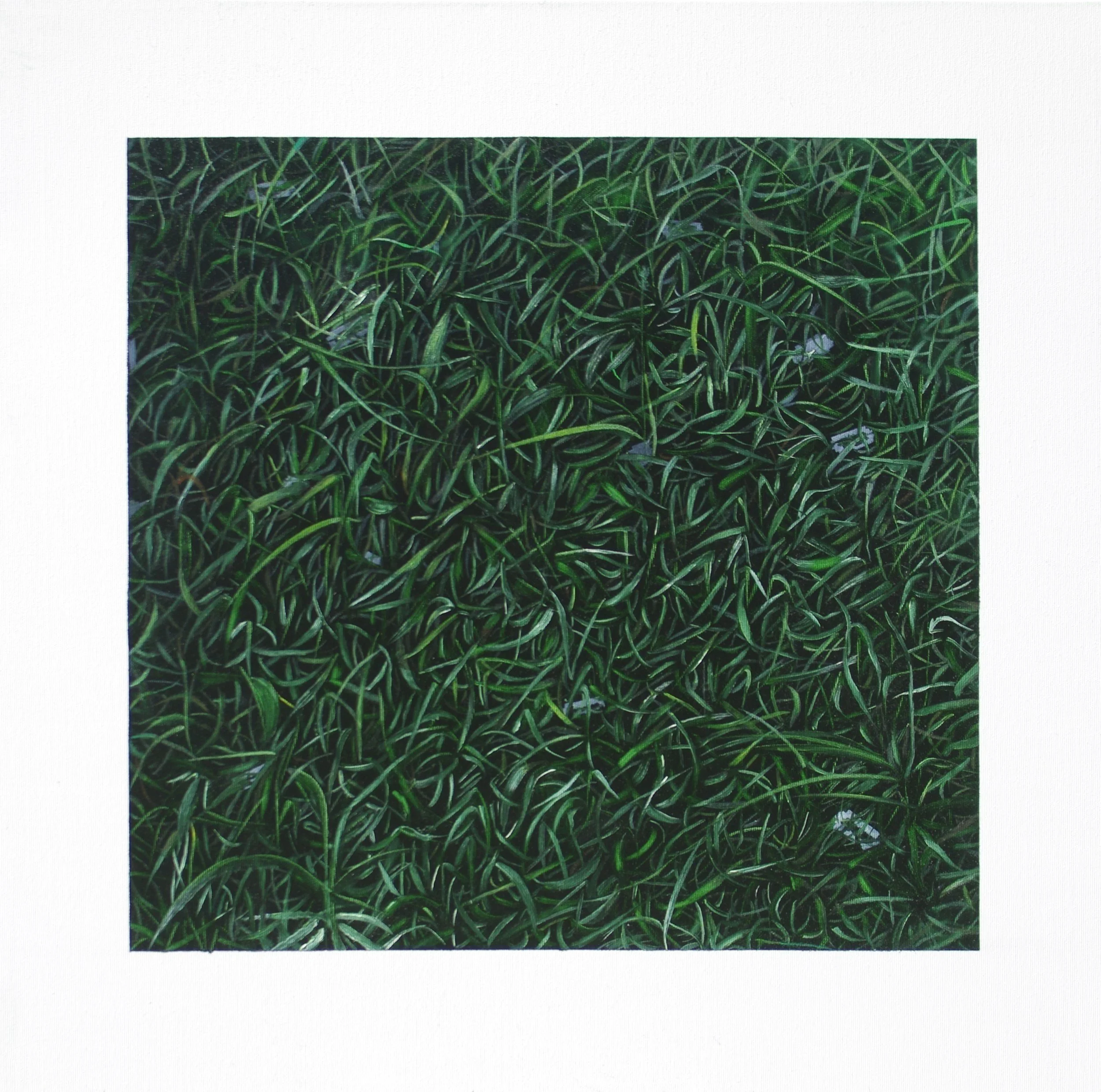 grass pieces