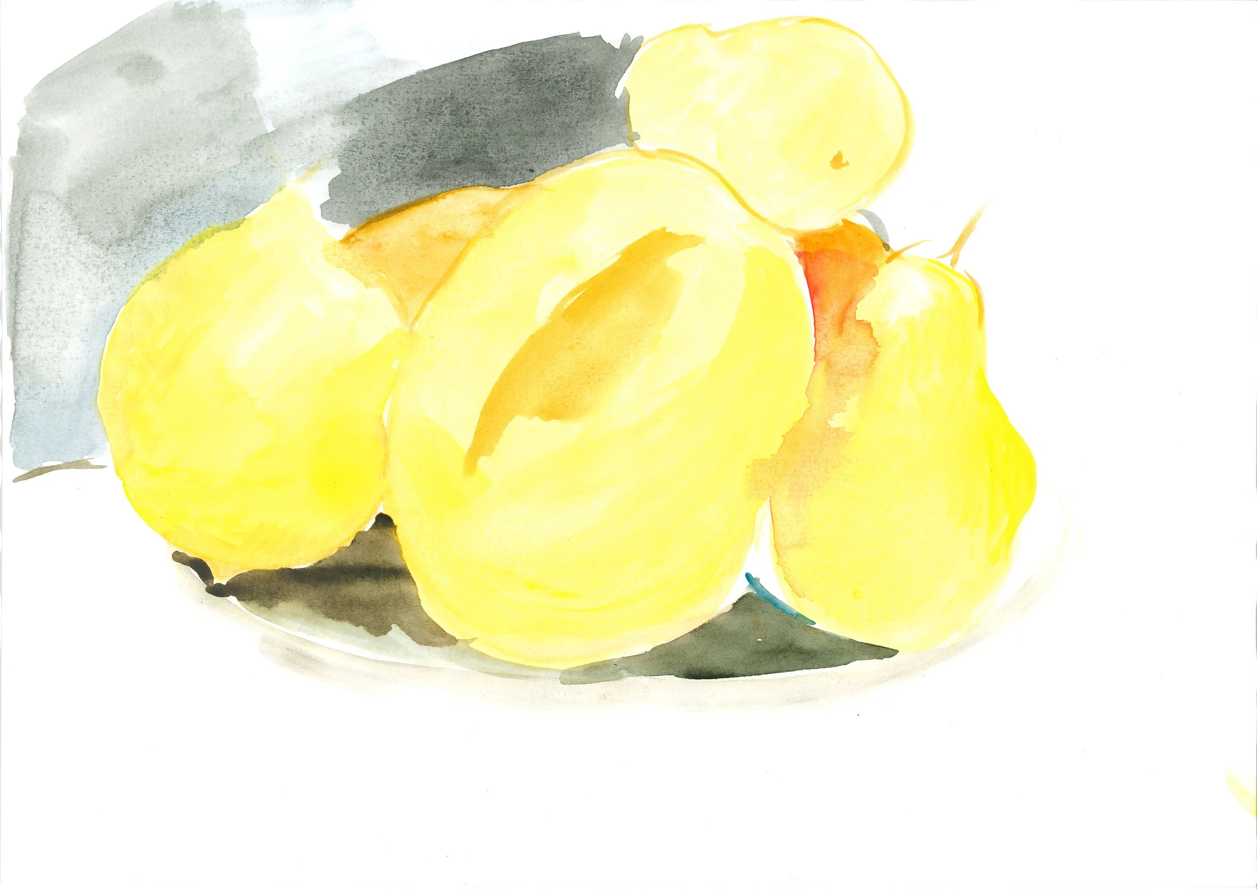 still_life_50.jpg