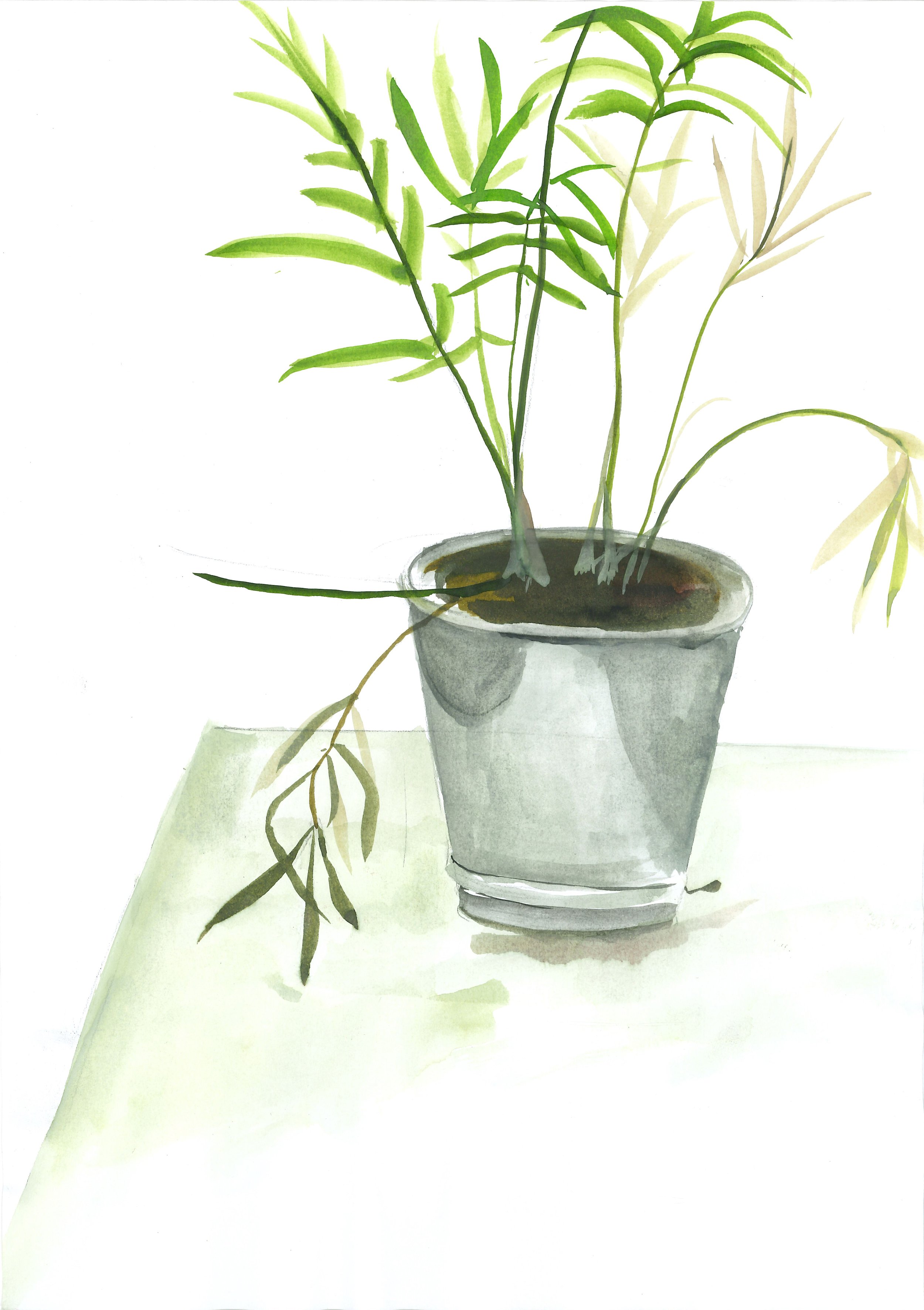 still_life_66.jpg