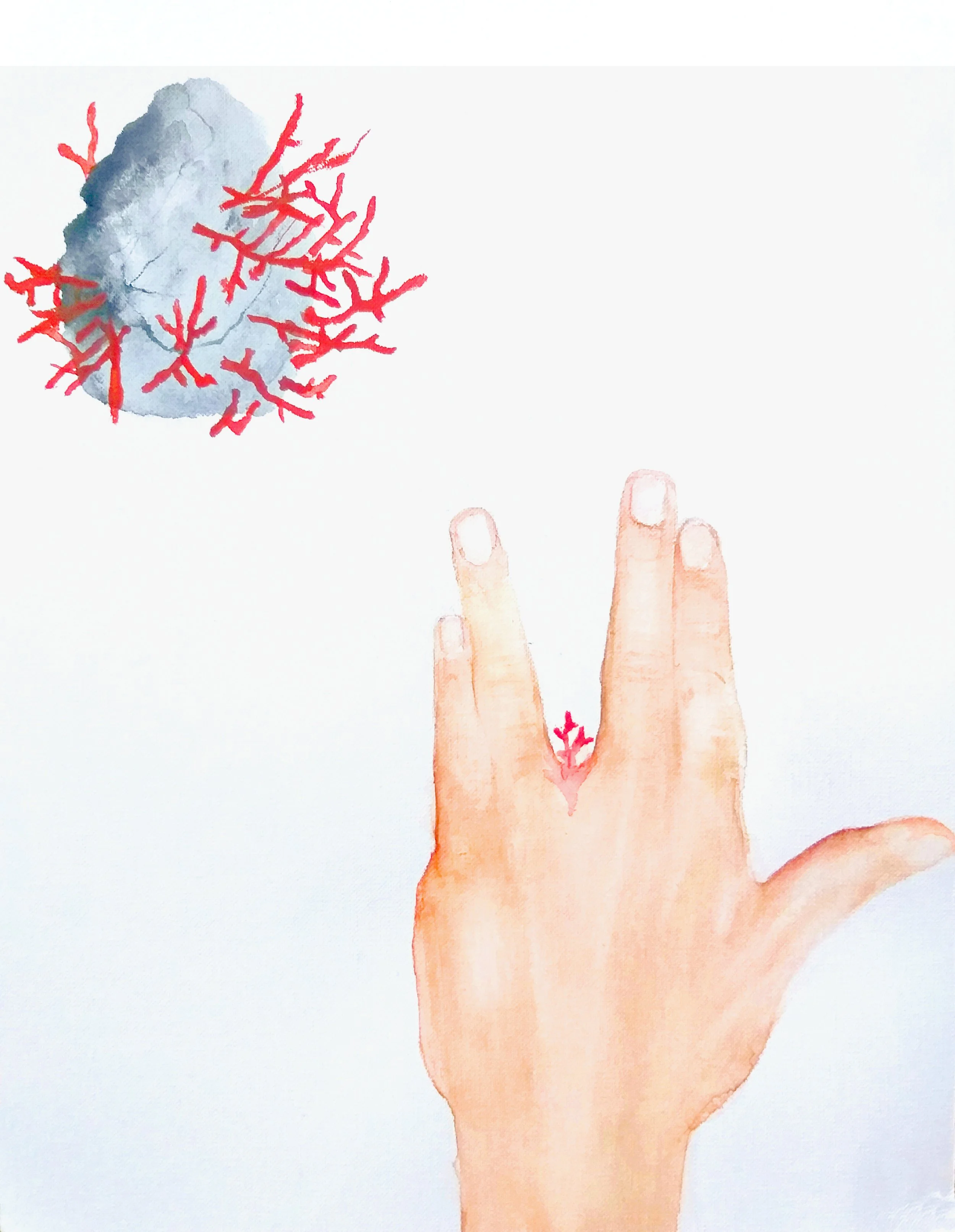 red skeleton experiment, foreign body, 31 x 24 cm, 2018