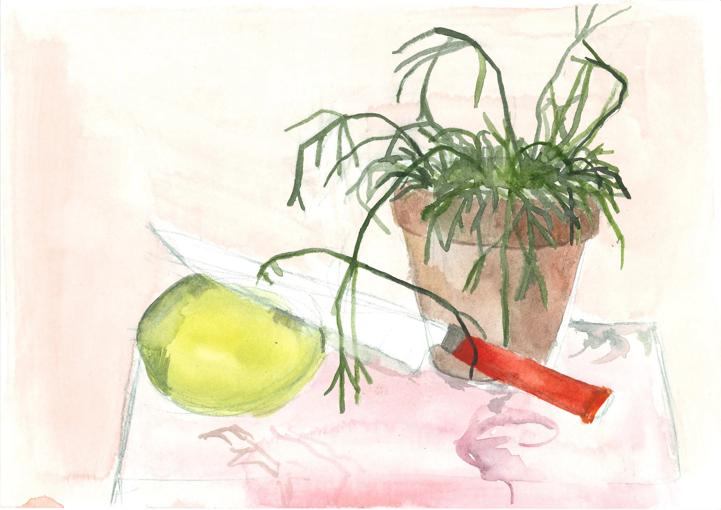 still_life_44.jpg