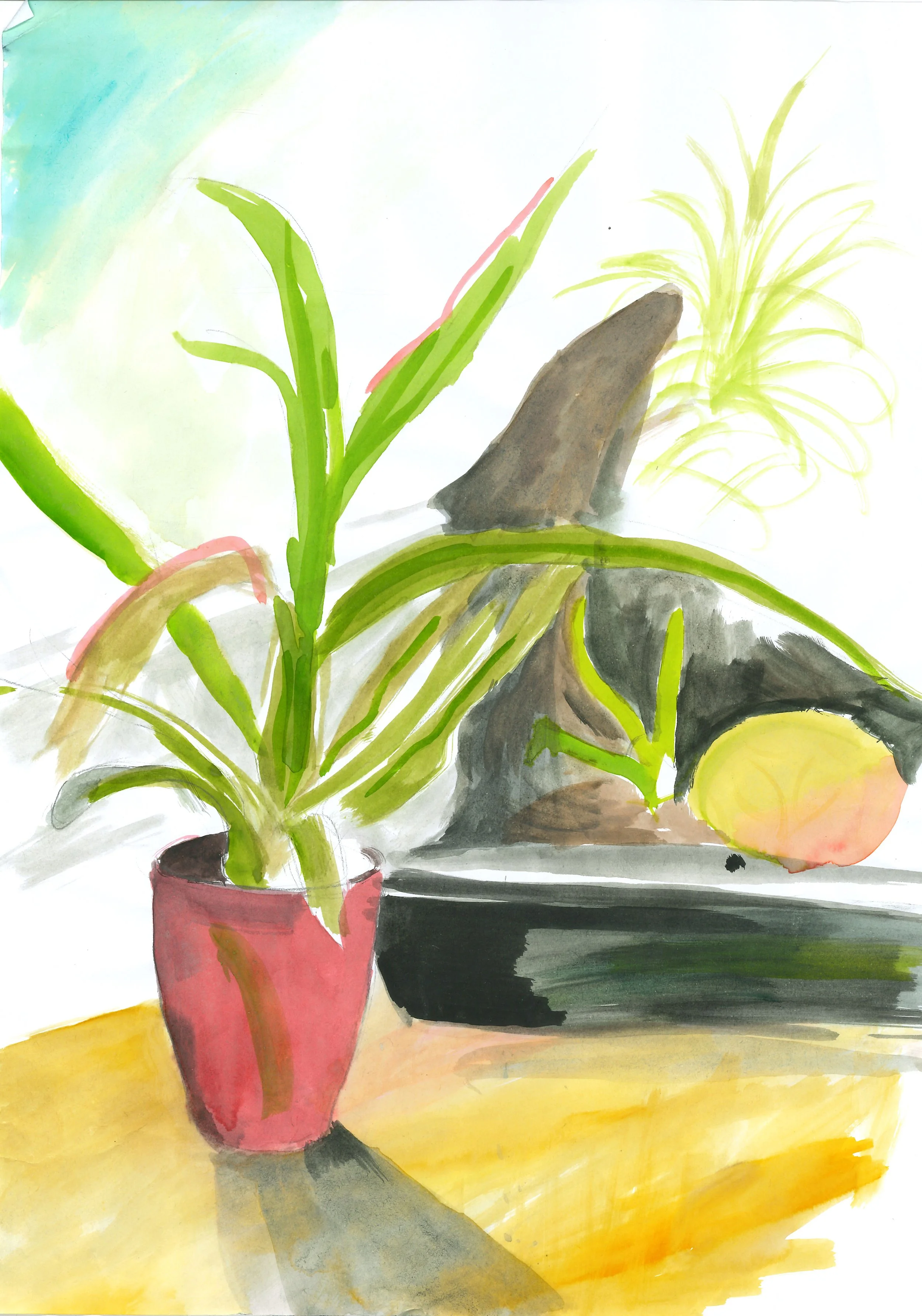 still_life_61.jpg