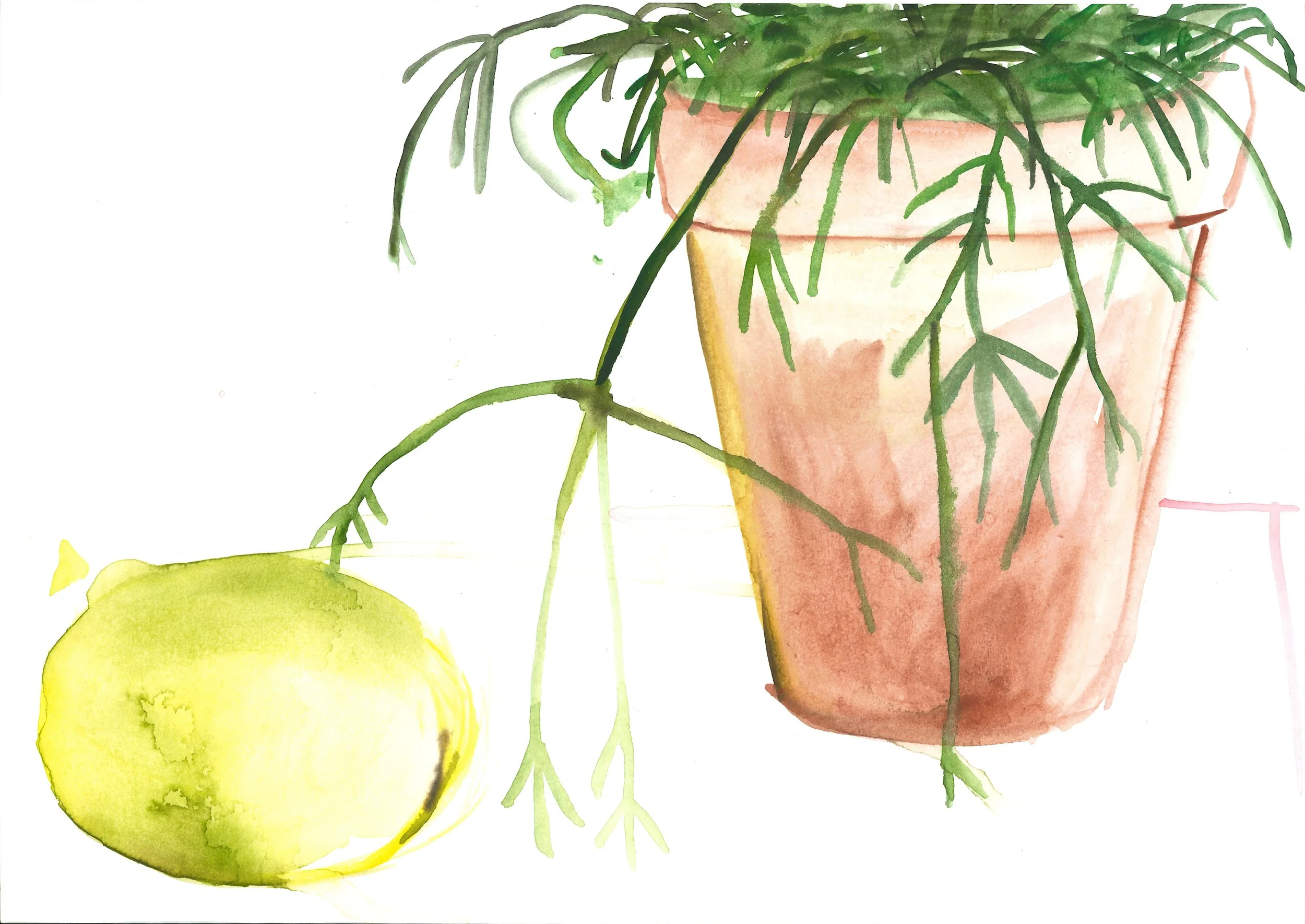 still_life_43.jpg