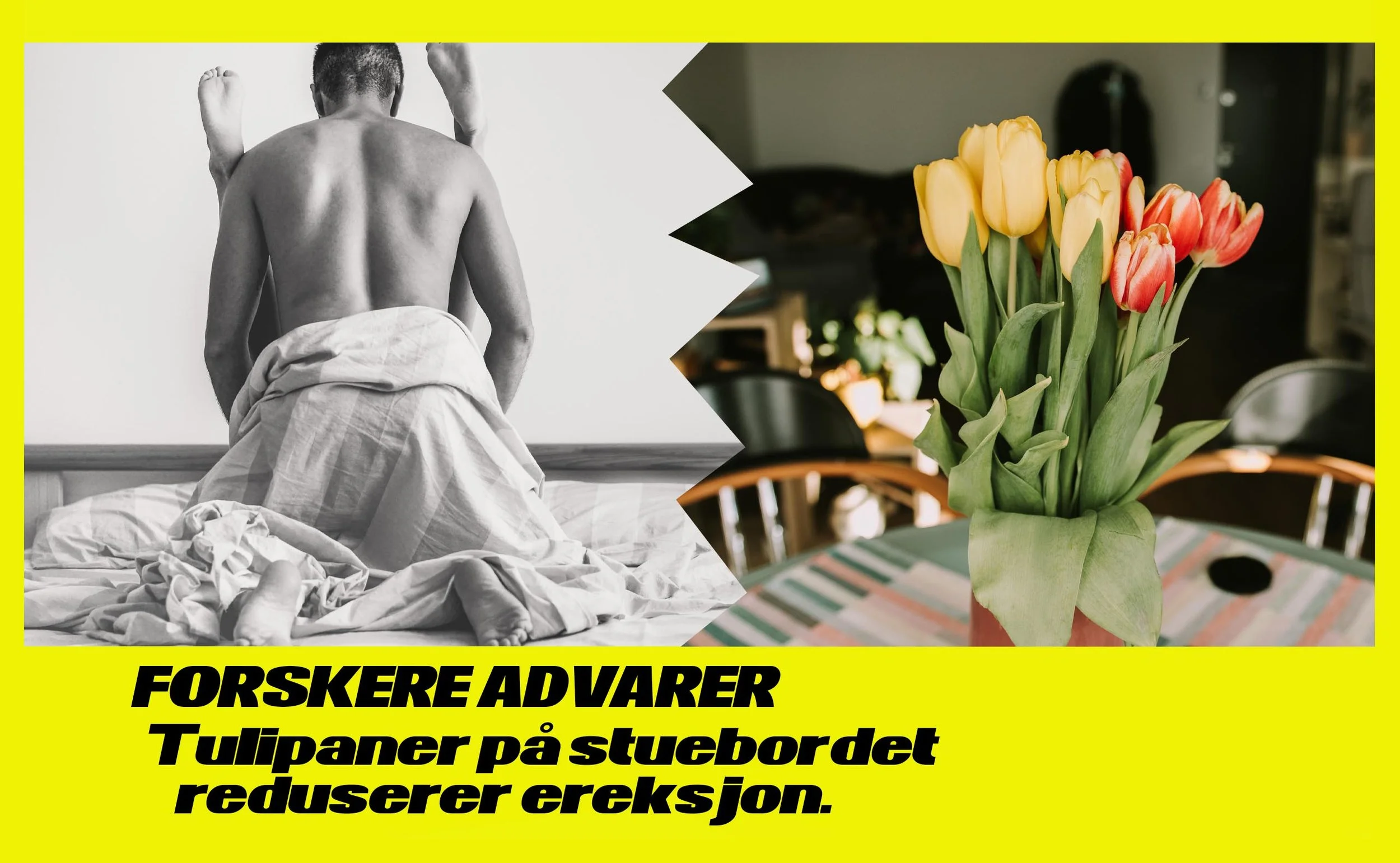 ereksjon.jpg