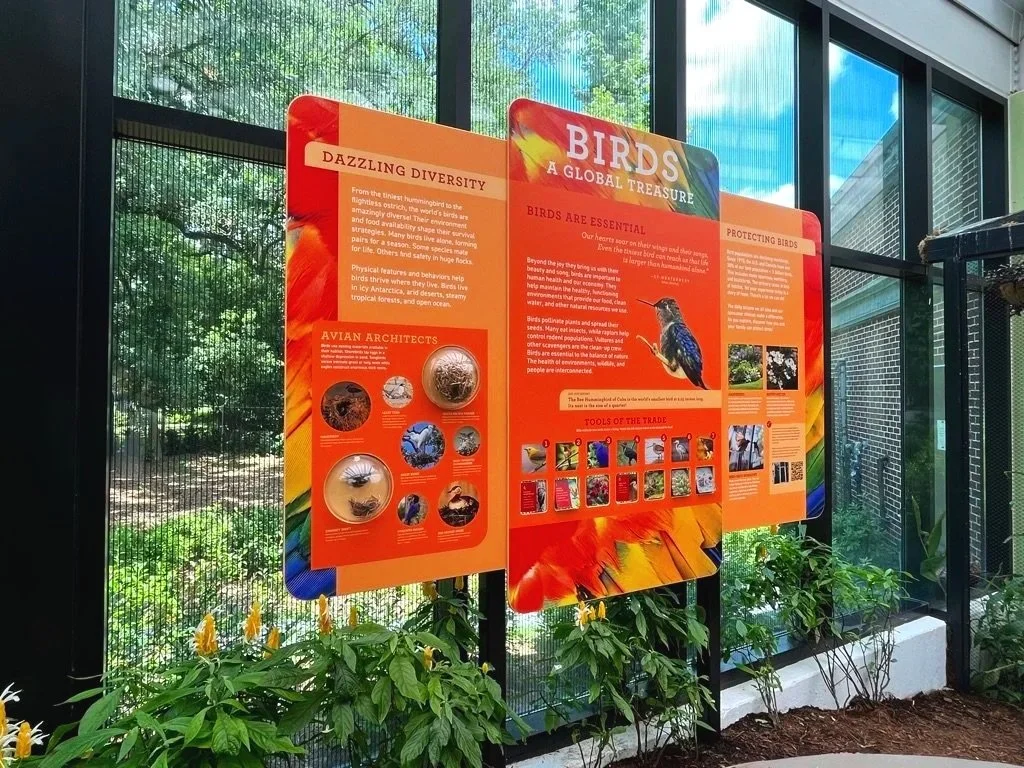 Colorful informational display about birds, highlighting their diversity, importance, and how to protect them, set inside a building near a garden with trees visible outside.