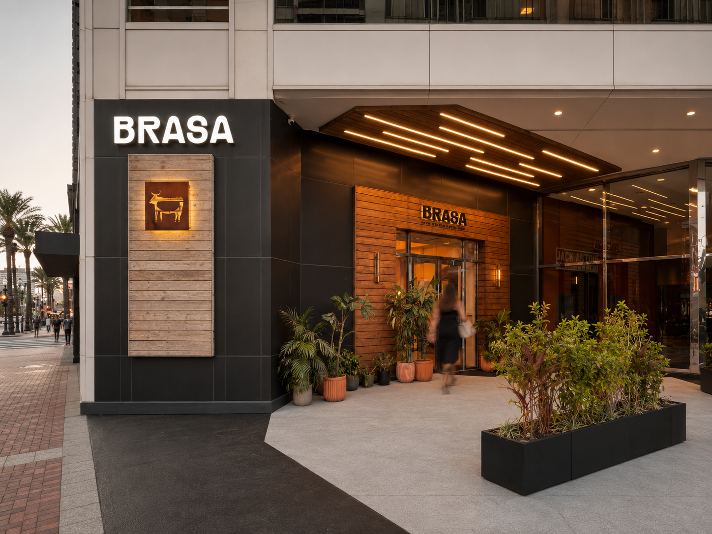 OPA_BRASA.png