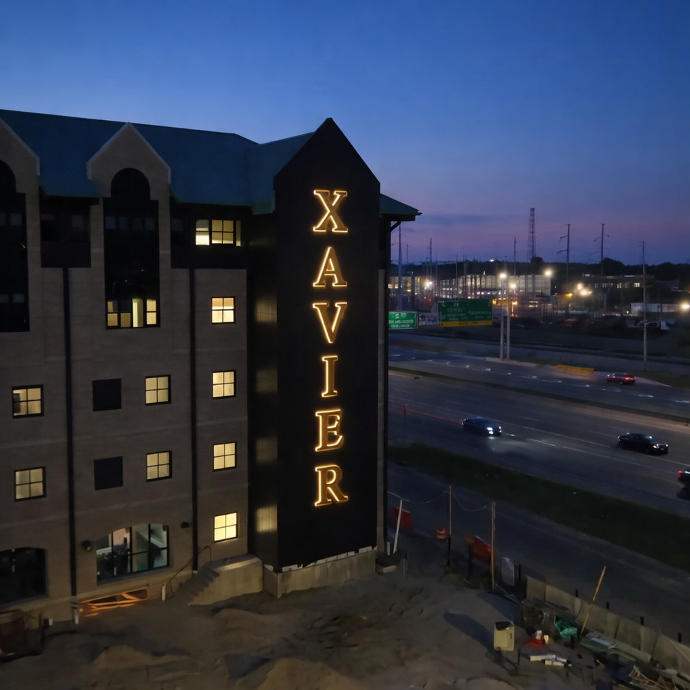 OPA_XAVIER_NIGHT.webp