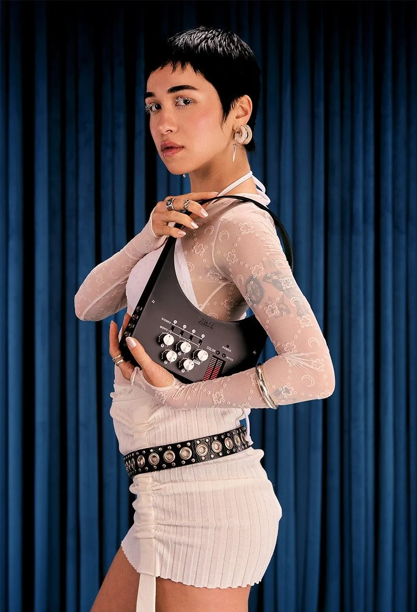 The Speaker and Mixer Bag - NiK Bentel Studio