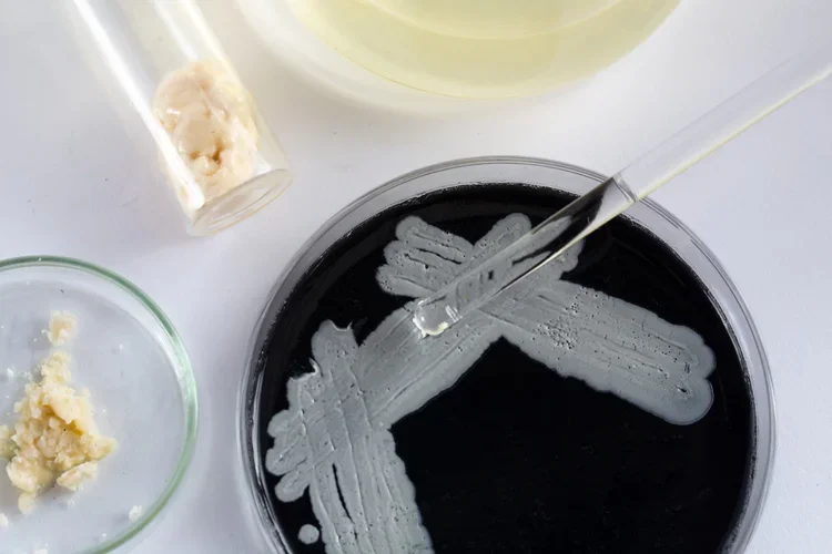 The Right to Rot: How Biomaterials Disrupt the Myth of Eternal Art