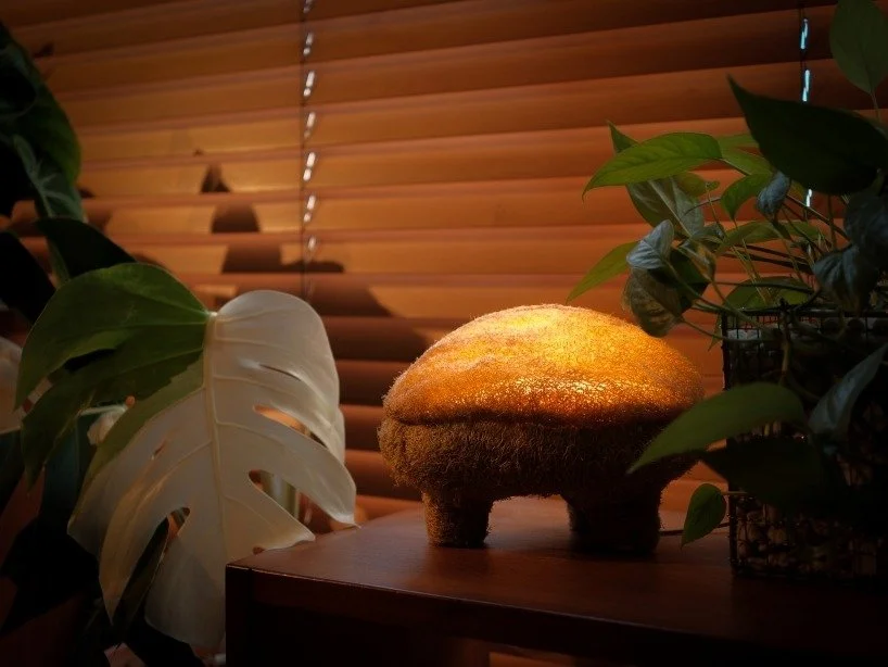 into-the-spores-we-grow-gourdo-the-mushroom-lamp-of-the-contemporary-world-3-6a3a21c5e2f6f.jpeg