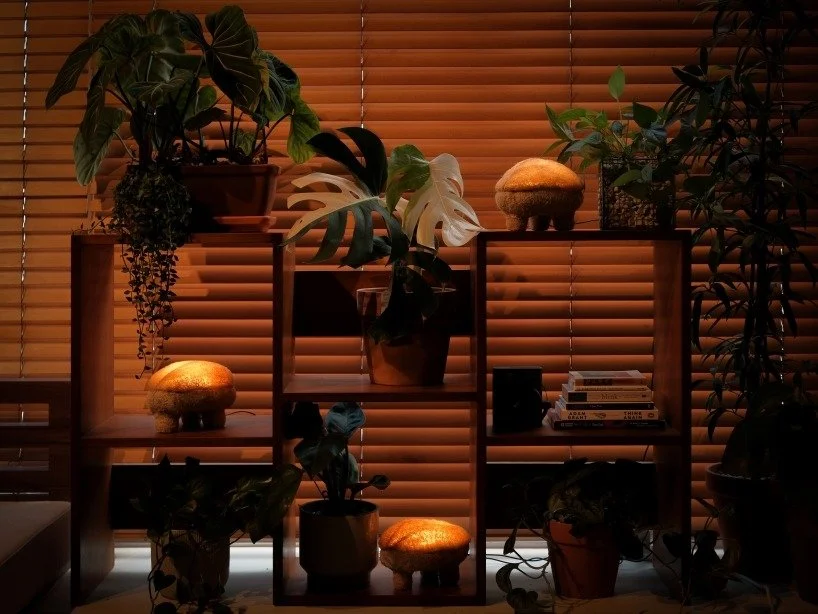 into-the-spores-we-grow-gourdo-the-mushroom-lamp-of-the-contemporary-world-5-6a3a21c5e2fdc.jpeg