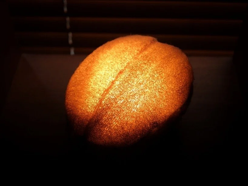 into-the-spores-we-grow-gourdo-the-mushroom-lamp-of-the-contemporary-world-7-6a3a21c5e3044.jpeg