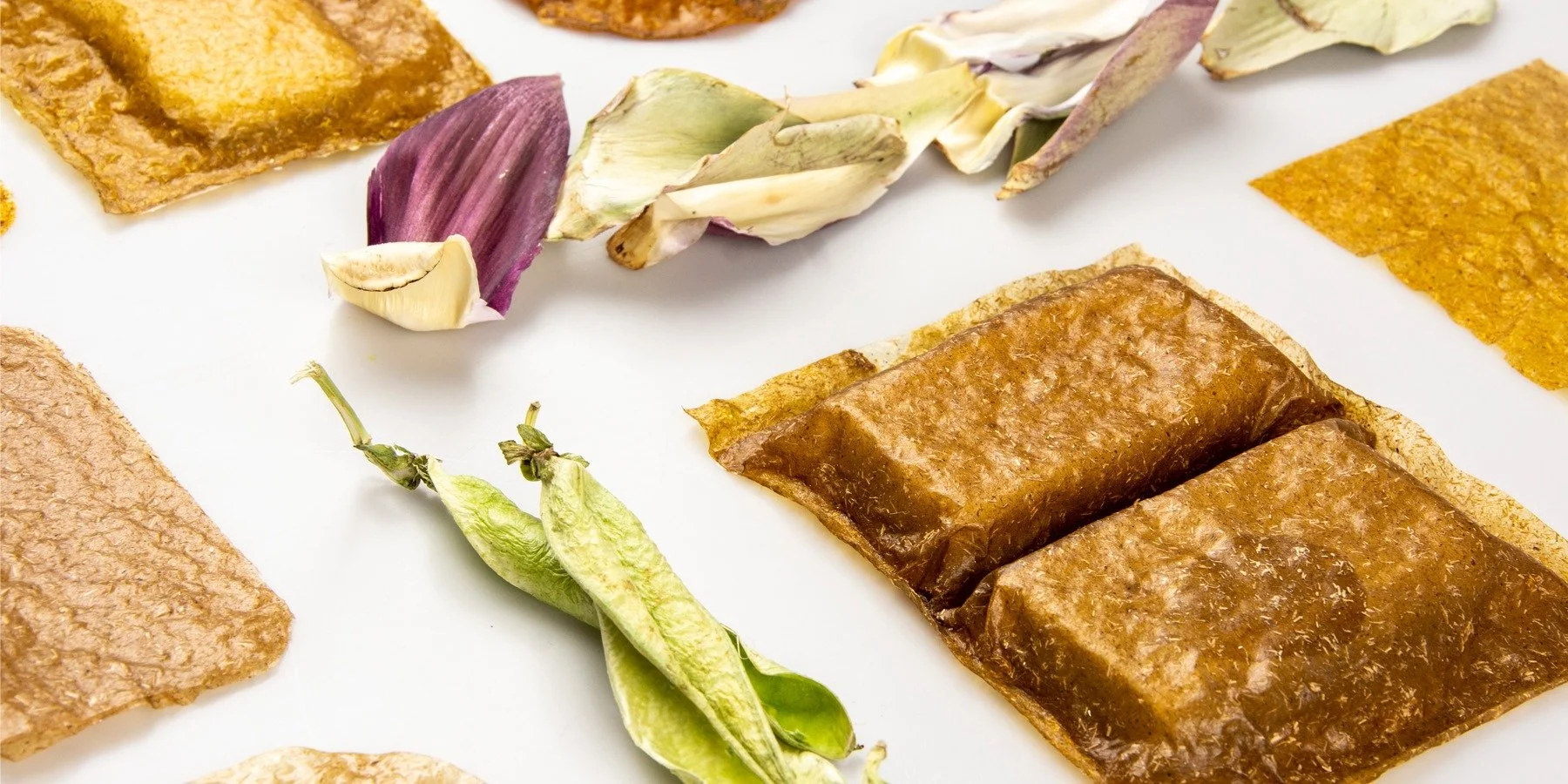 Packioli - Alara Ertenü