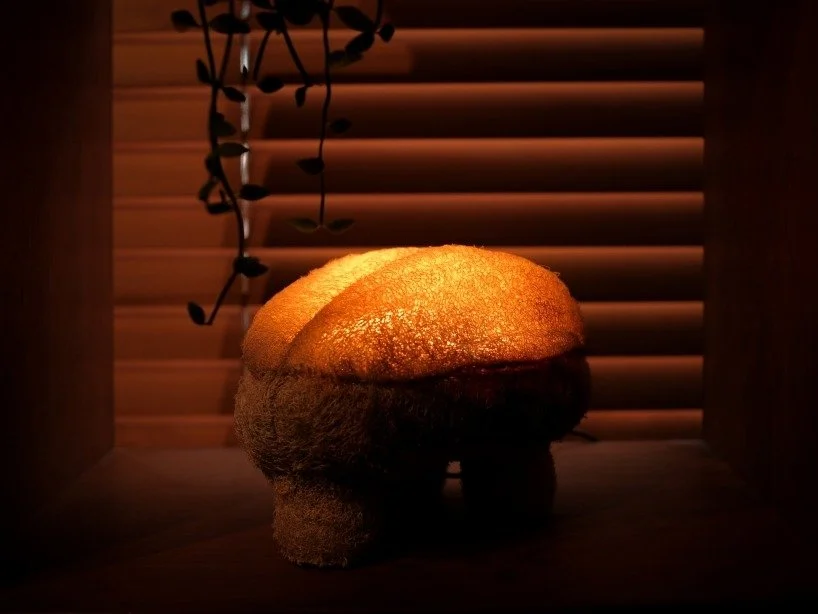 into-the-spores-we-grow-gourdo-the-mushroom-lamp-of-the-contemporary-world-6-6a3a21c5e3011.jpeg