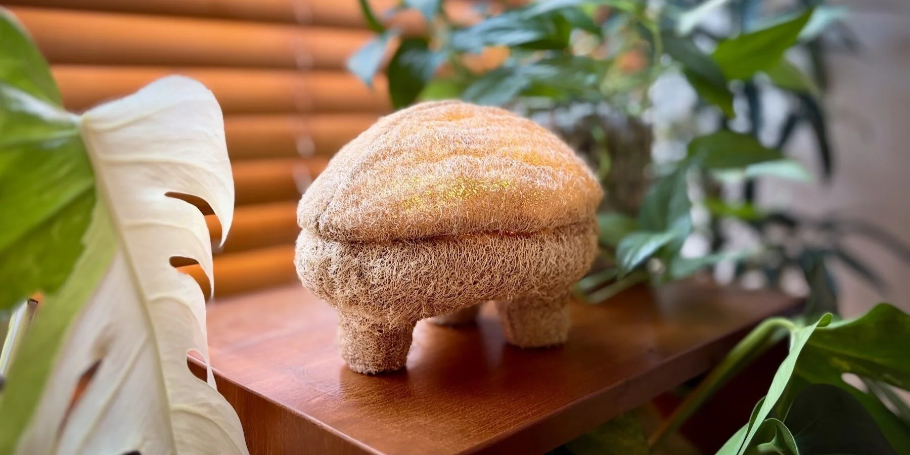 gourdo-lighting-design-justin-wan-mycelium-luffa-composite-biomaterial-mushroom-justin-wan-designboom-1800-2.jpeg