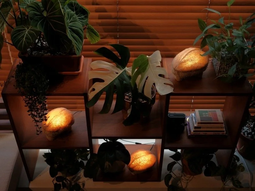 into-the-spores-we-grow-gourdo-the-mushroom-lamp-of-the-contemporary-world-4-6a3a21c5e2fa6.jpeg