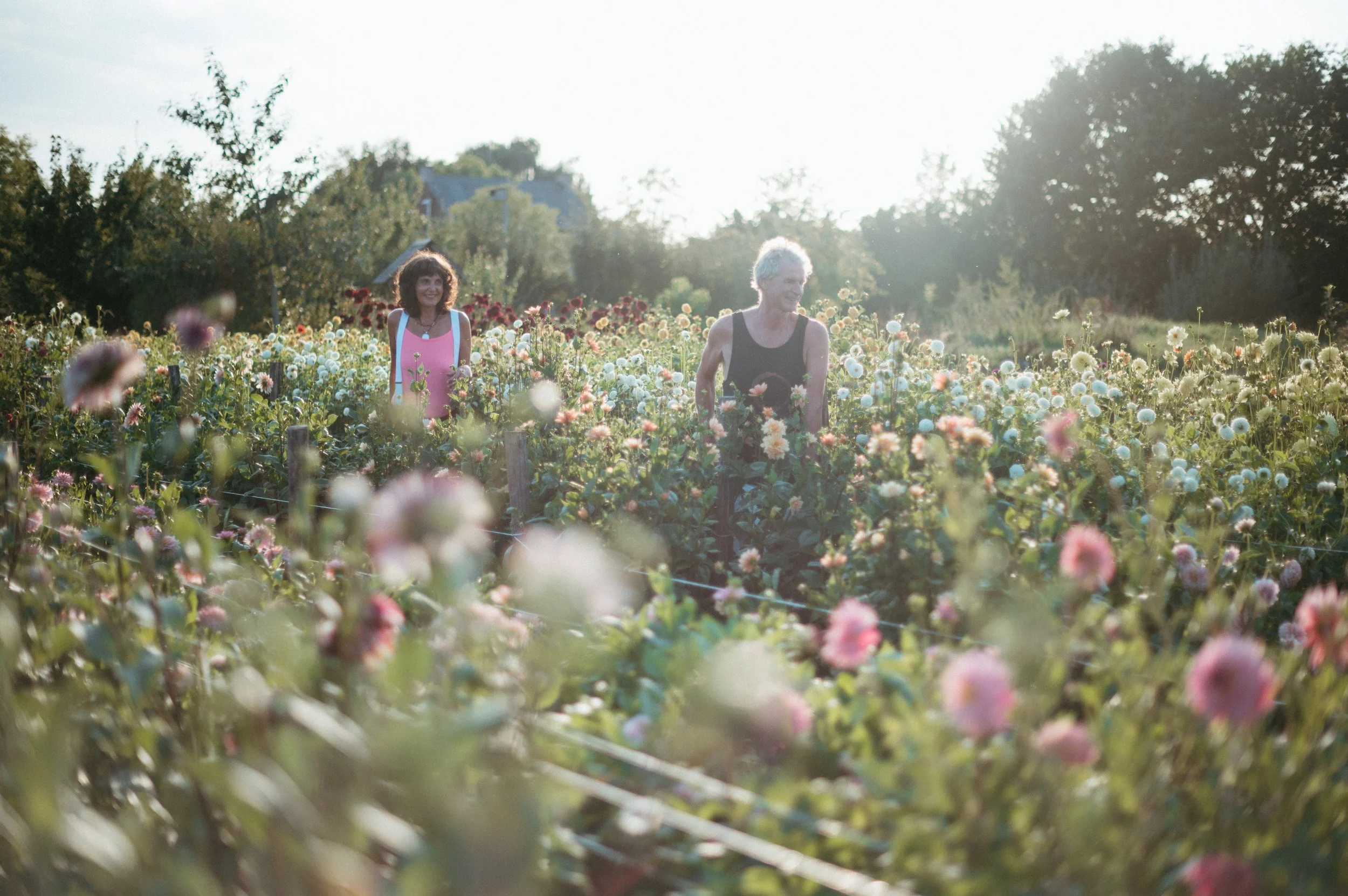 Zomer Festival ‘Waters we Share’